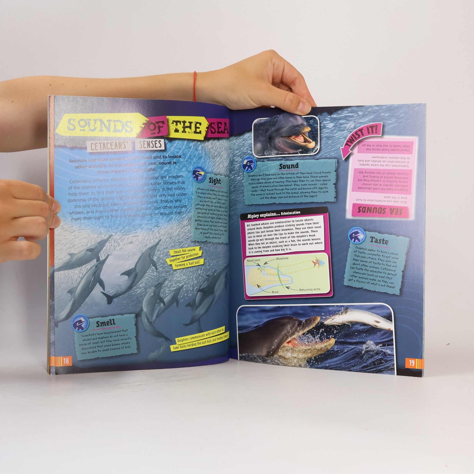 Robert Ripley Ripley's Believe It or Not!: Whales and Dolphins