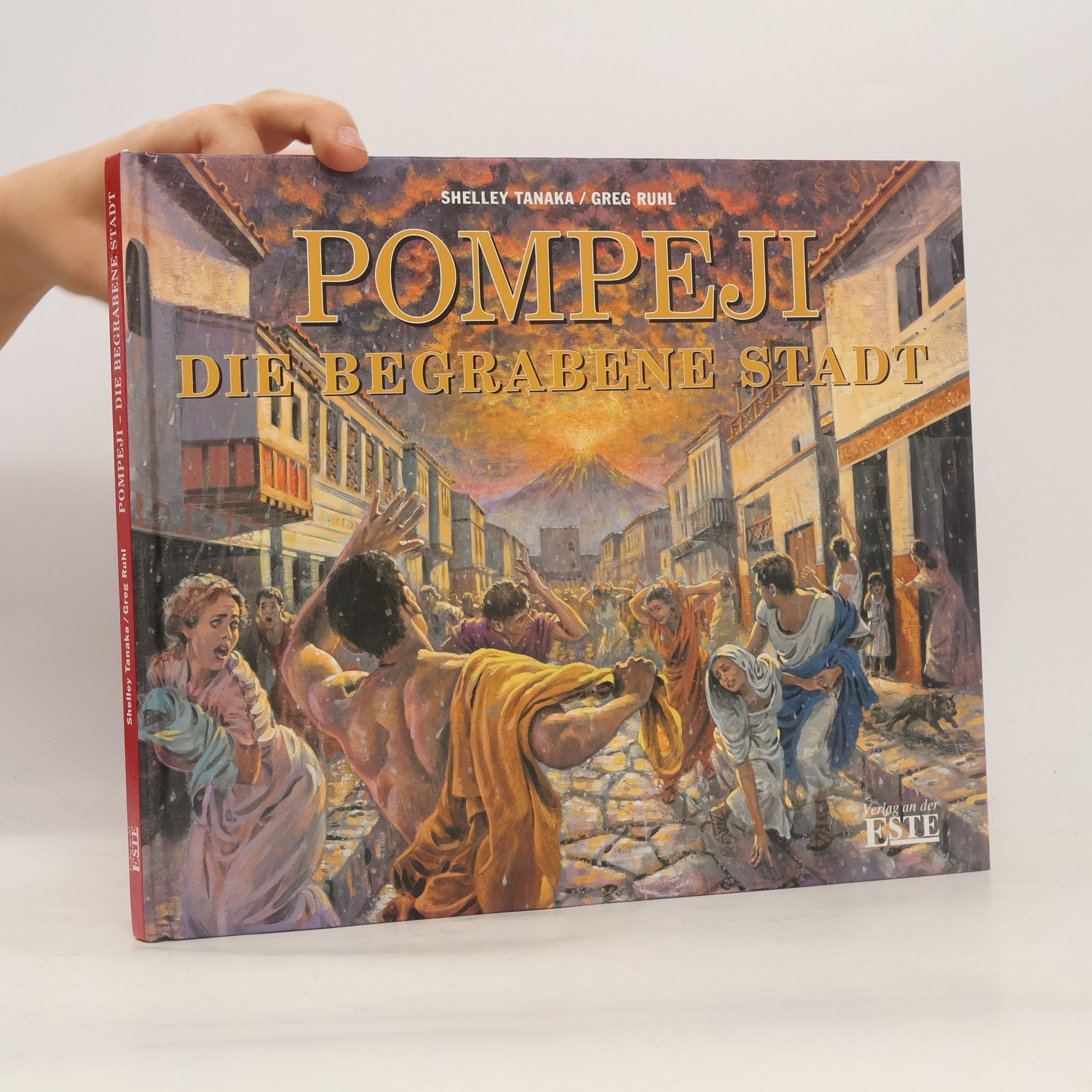 Greg Ruhl Pompeji. Die begrabene Stadt