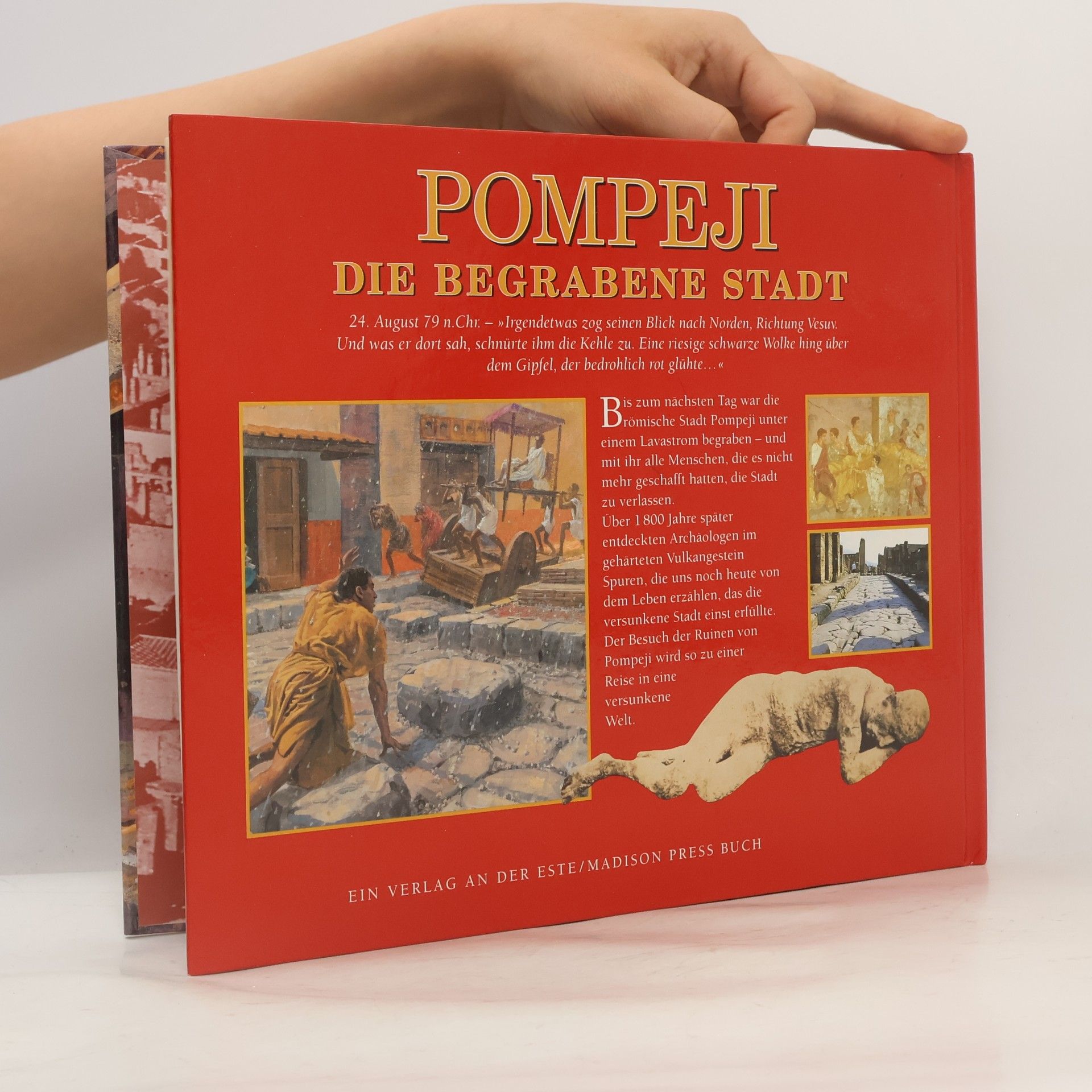 Shelley Tanaka Pompeji. Die begrabene Stadt
