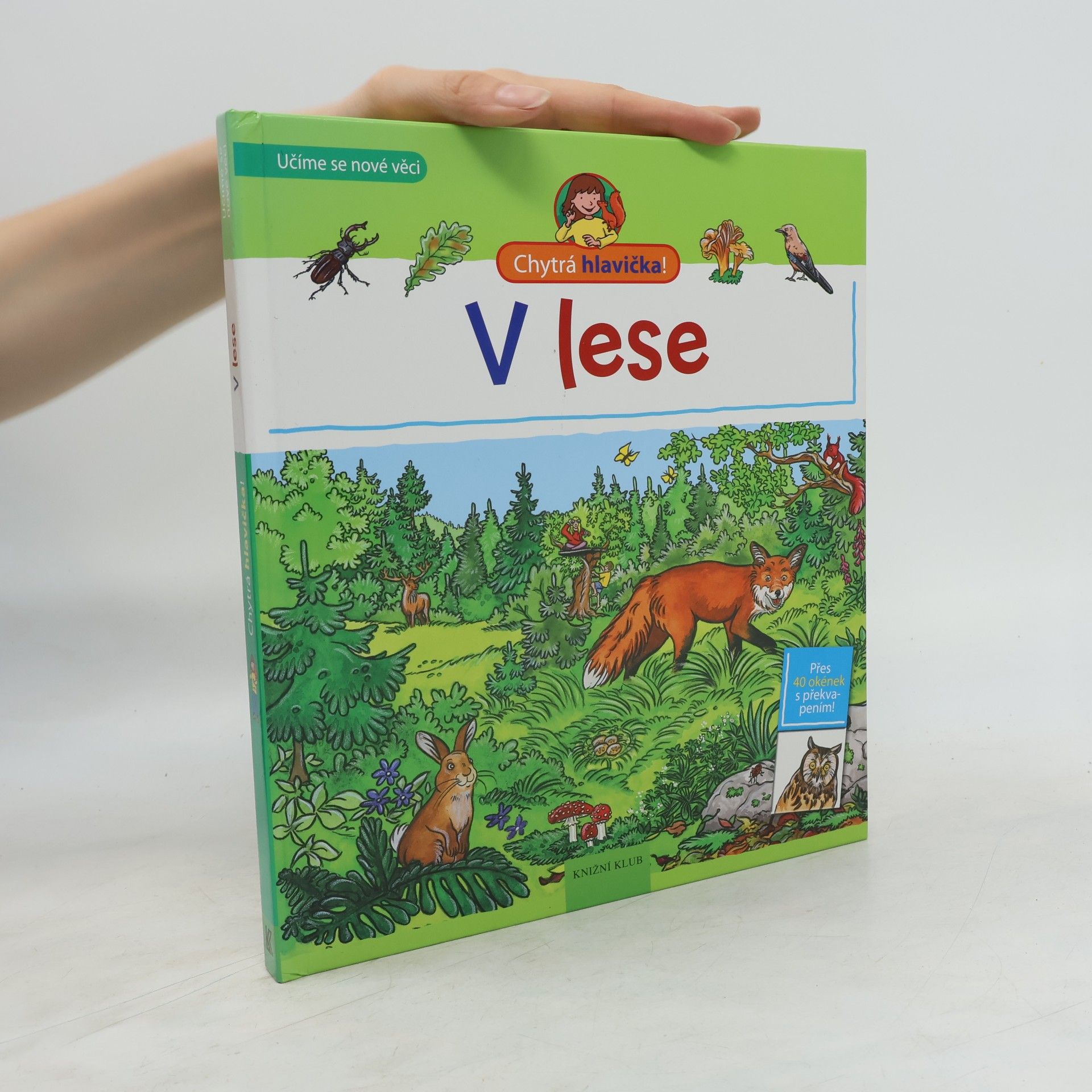 Lisa Maurer V lese