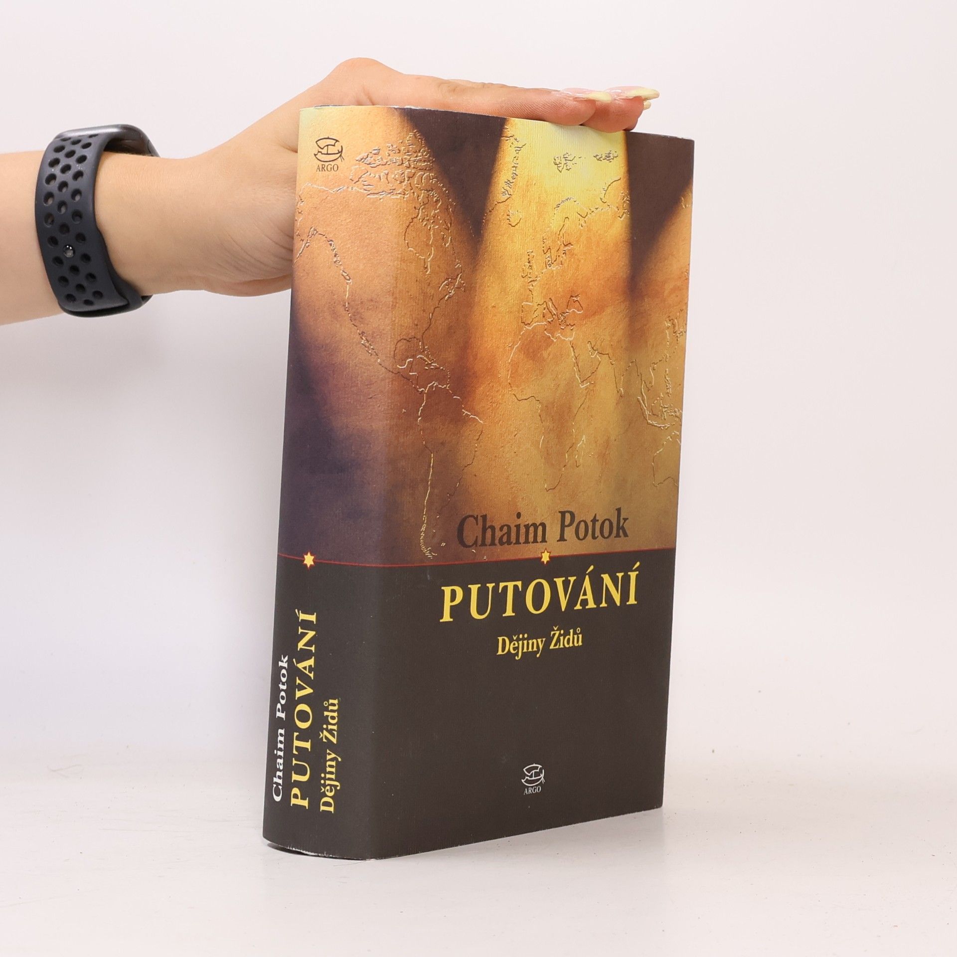 Chaim Potok Putování : dějiny Židů
