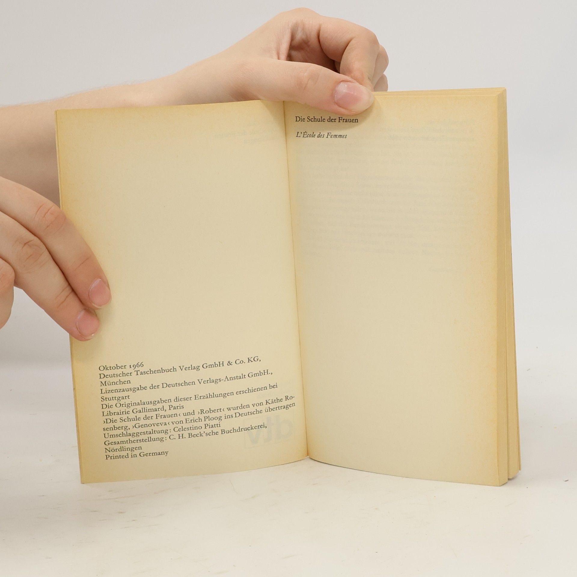 André Gide Die Schule der Frauen: Erzählungen