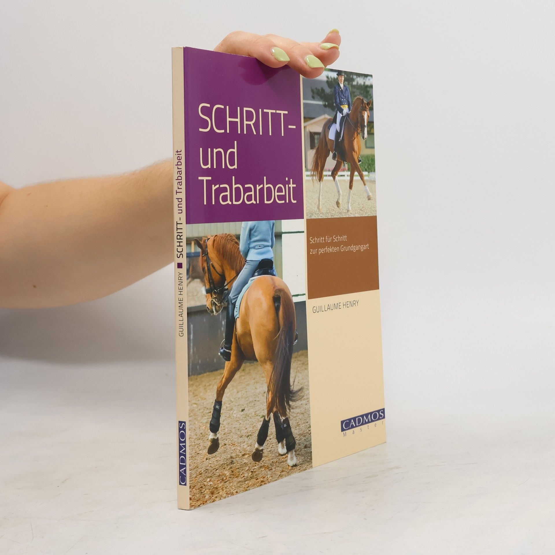 Guillaume Henry Schritt- und Trabarbeit