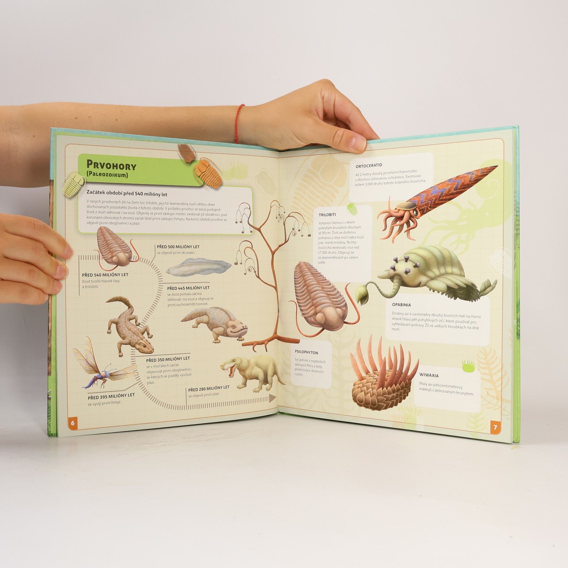 Oldřich Růžička Cestovatel časem - Prehistorie