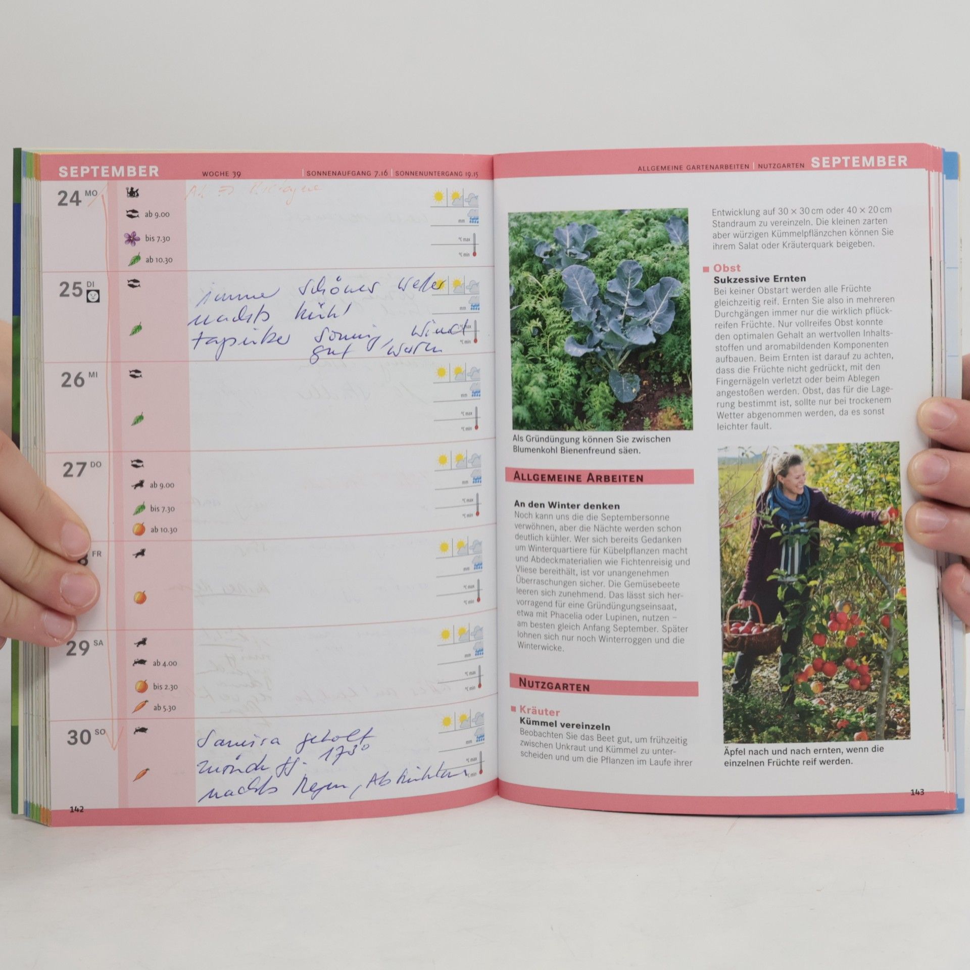 Autorenkollektiv Das Jahr im Garten 2018