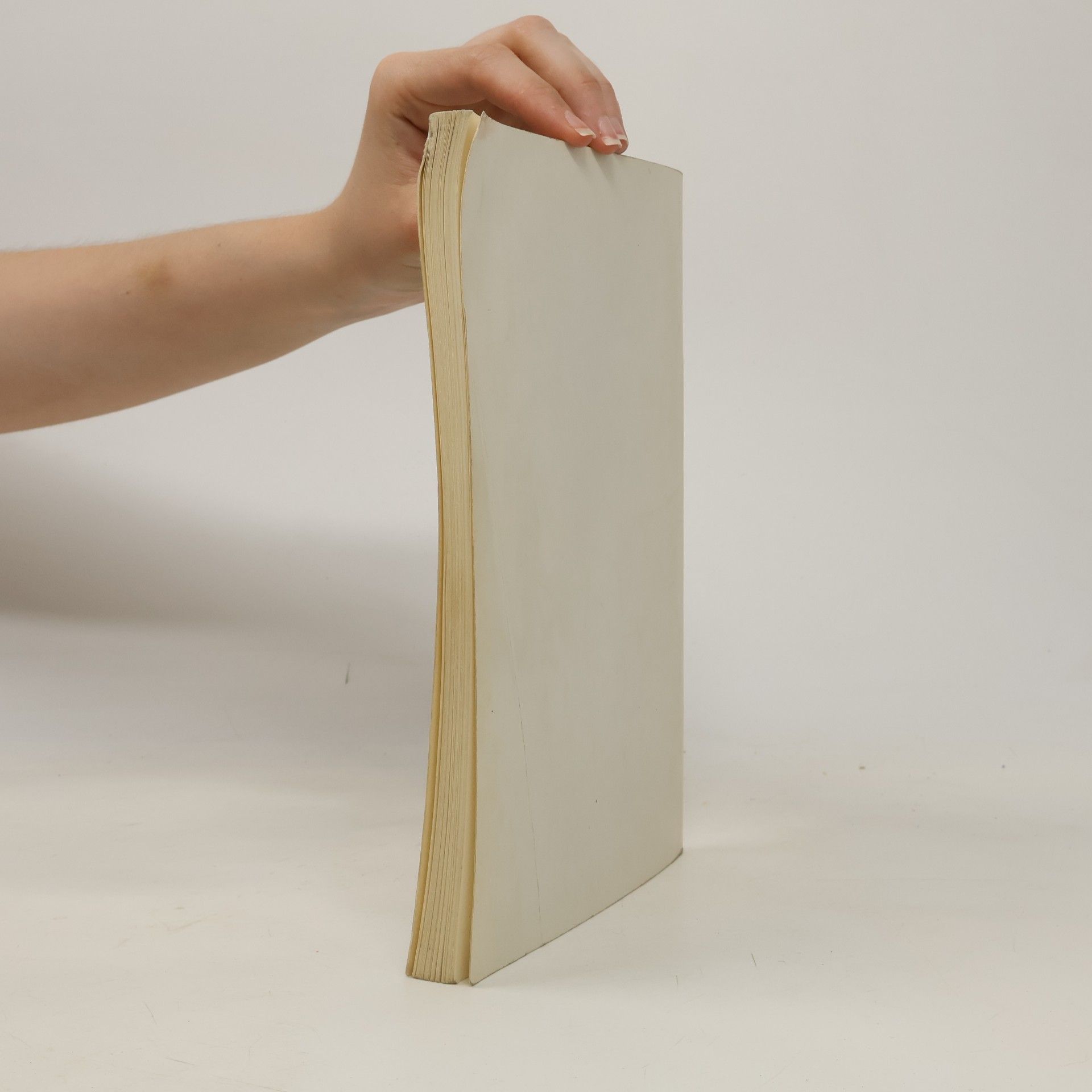 Walther Machalik Handbuch des Transportunternehmers