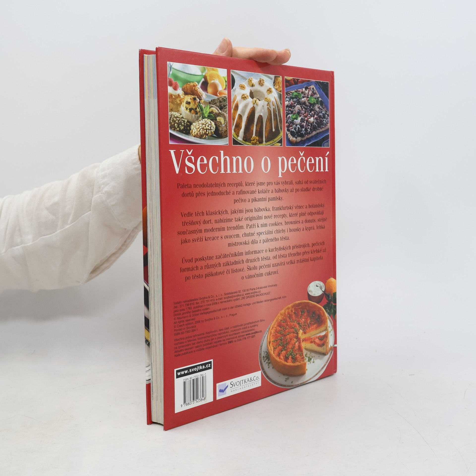 Autorenkollektiv Všechno o pečení