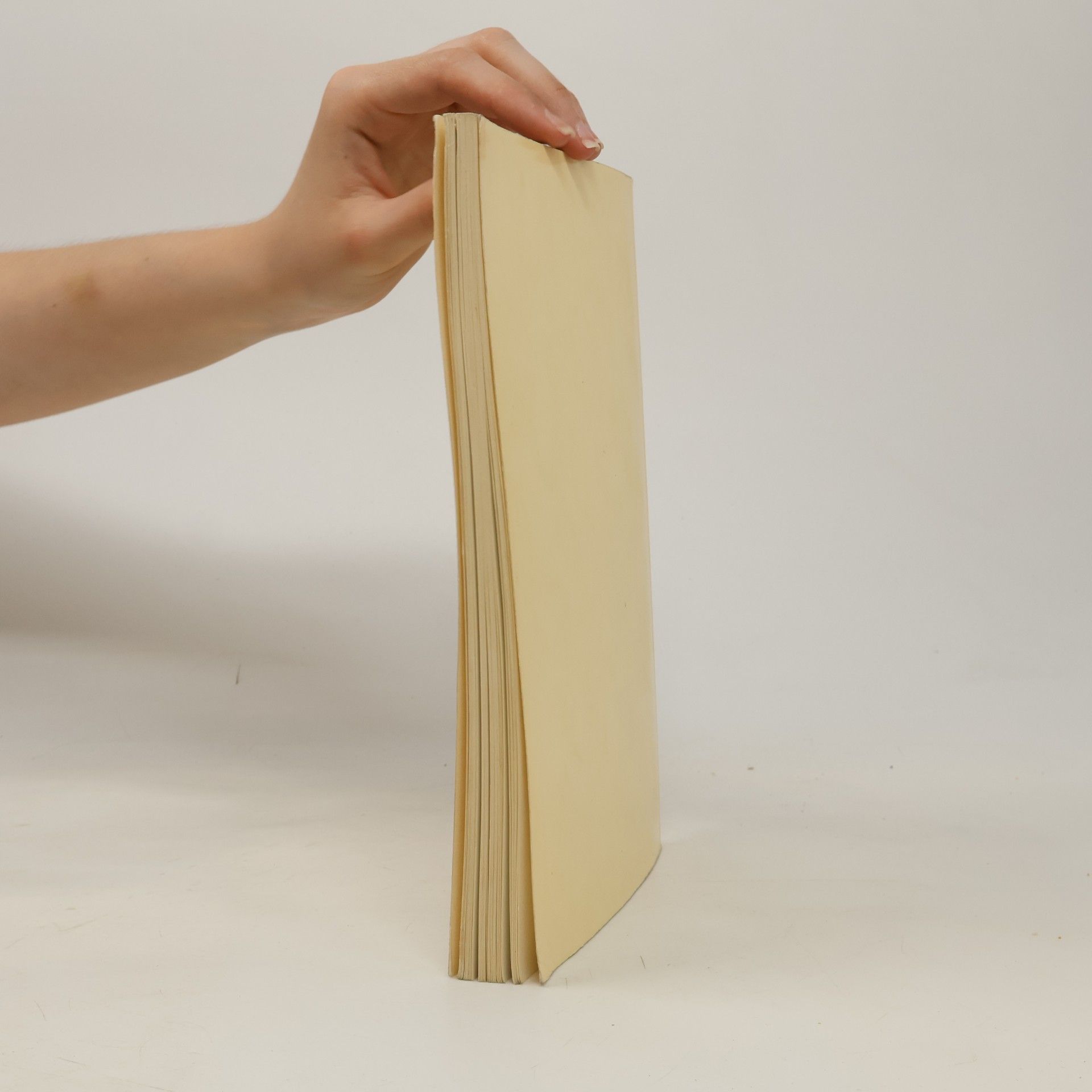 Walther Machalik Handbuch des Transportunternehmers – Band III