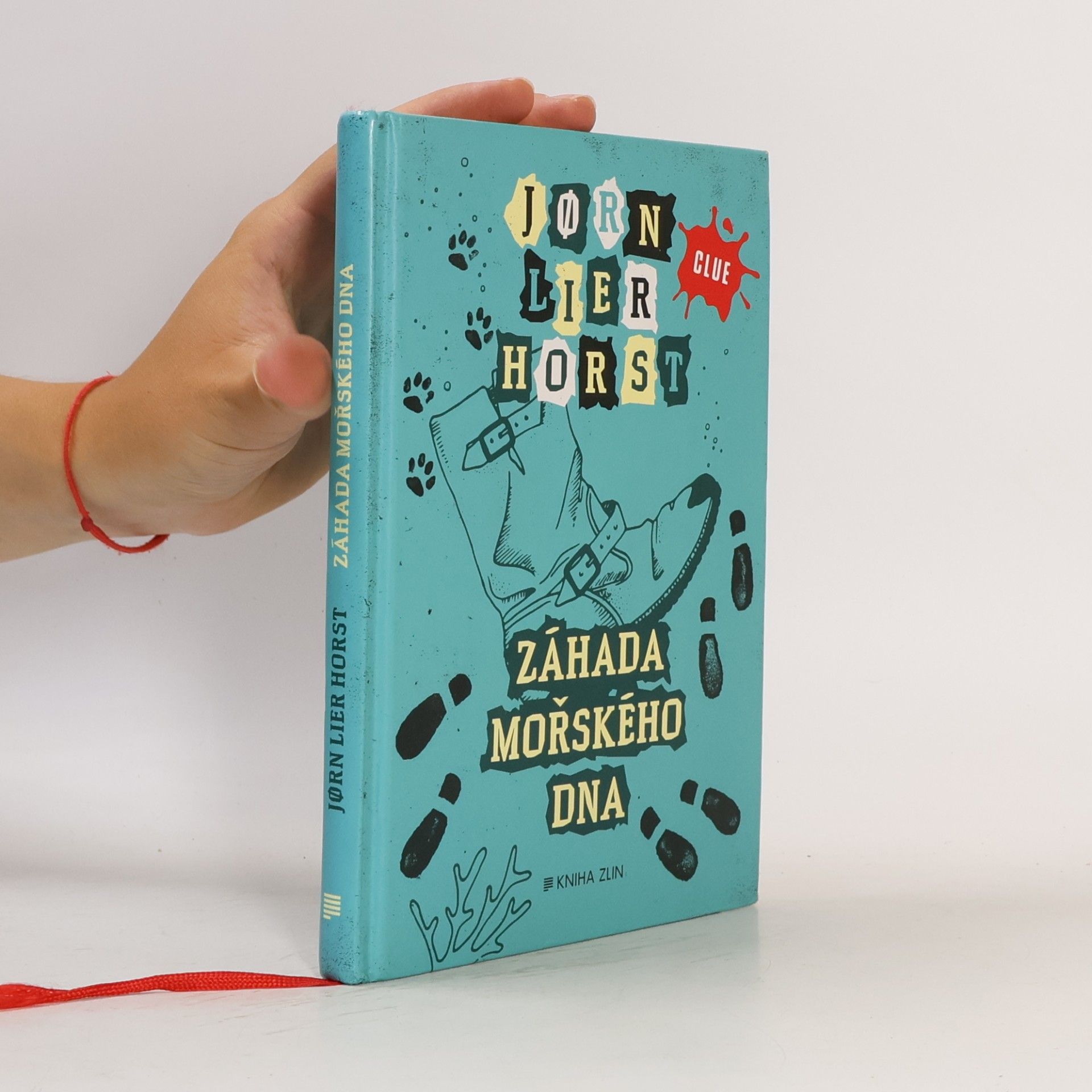 Jorn Lier Enger Thomas Horst Záhada mořského dna