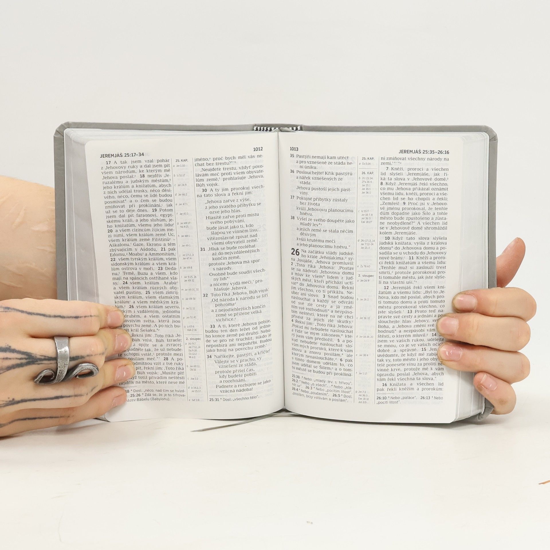 Kolektiv autorů Bible: překlad nového světa