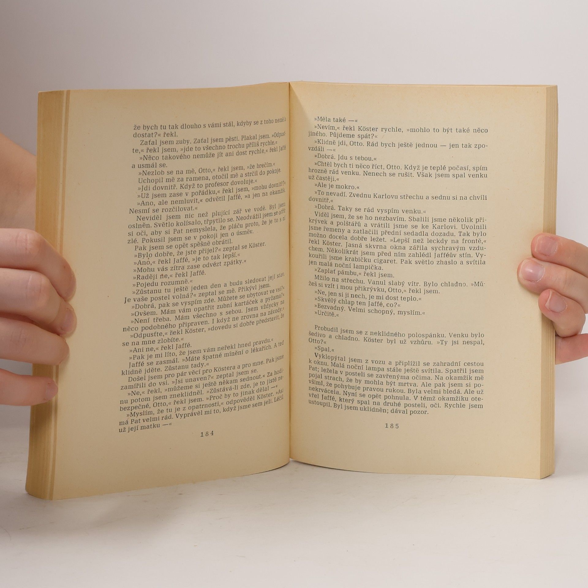 Erich Maria Remarque Tři kamarádi