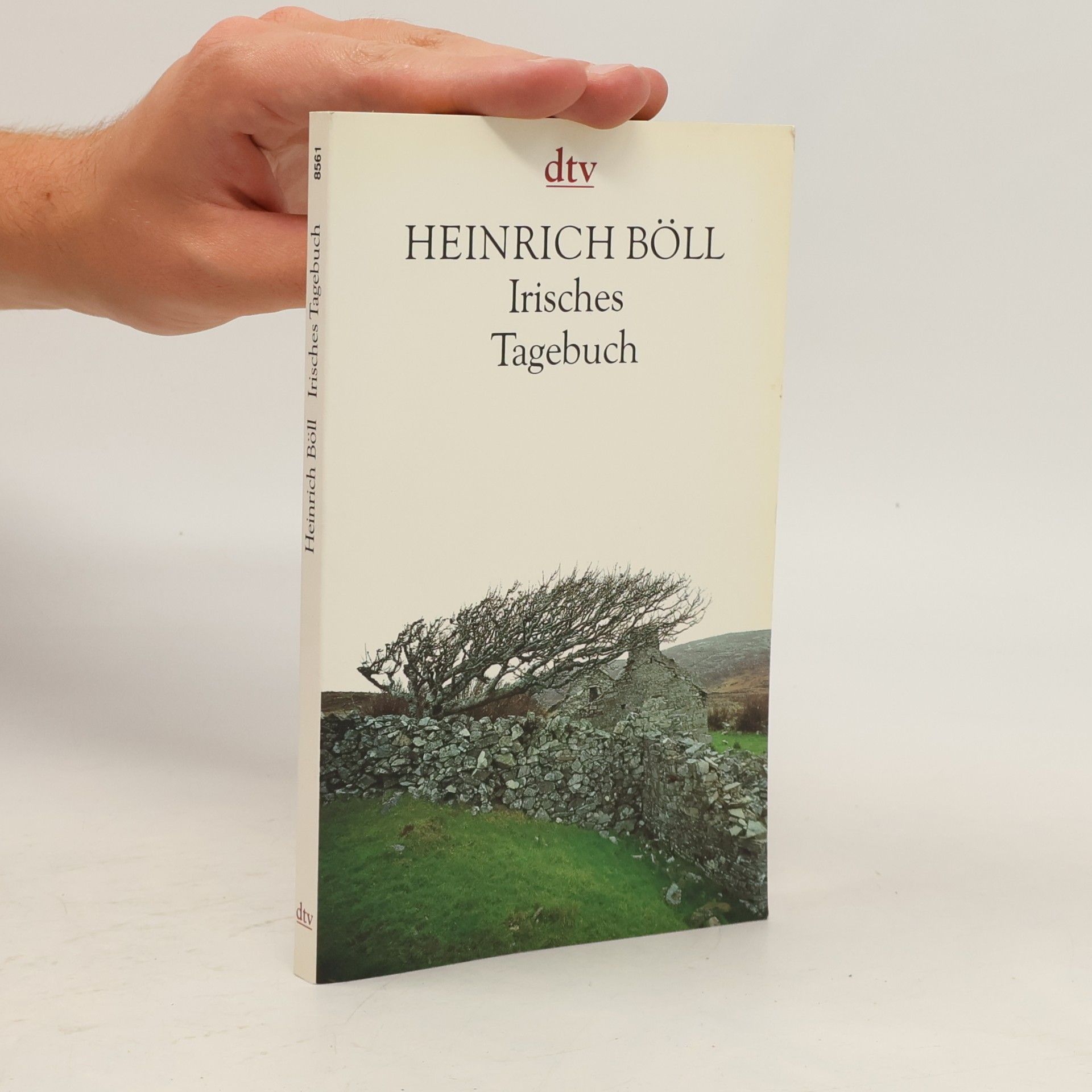 Heinrich Böll Irisches Tagebuch