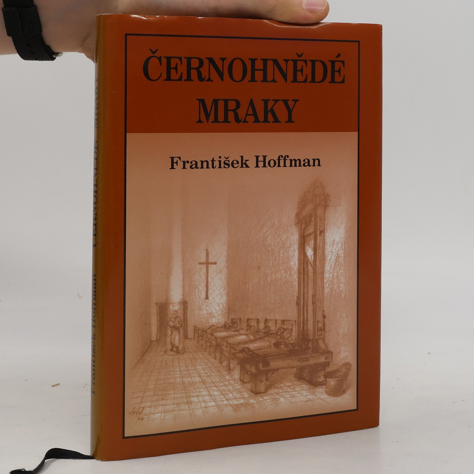 František Hoffman Černohnědé mraky