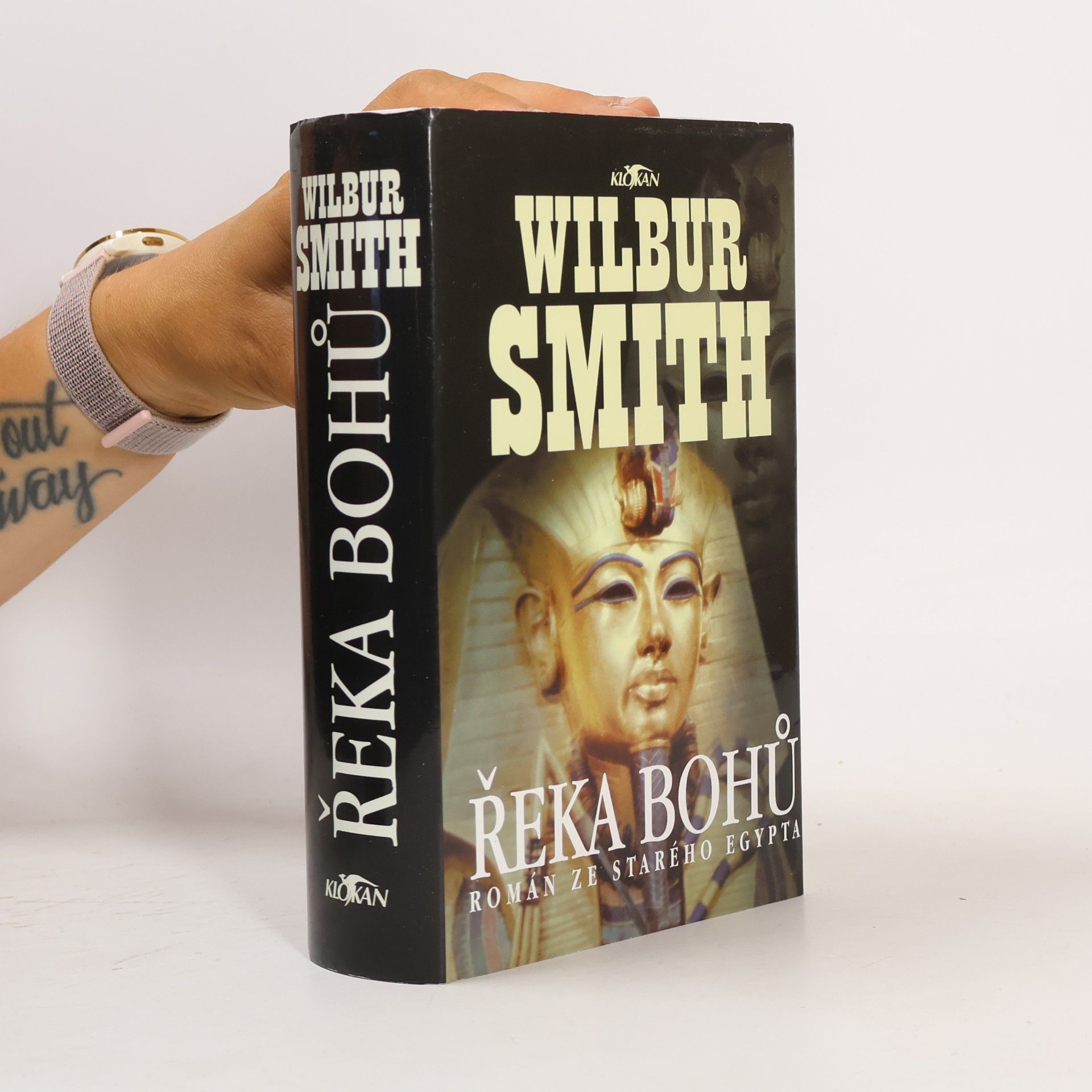 Wilbur Smith Řeka bohů