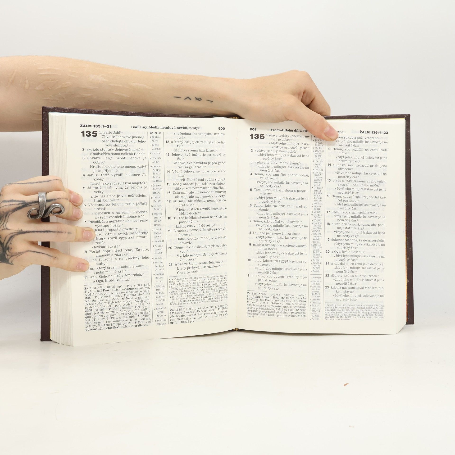 Autorenkollektiv Svaté Písmo. Překlad nového světa se studijními poznámkami
