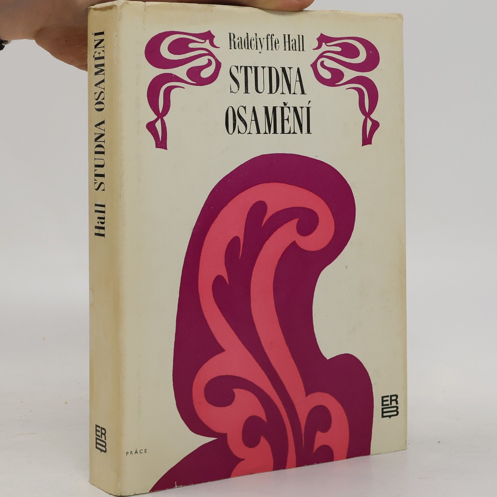 Radclyffe Hall Studna osamění