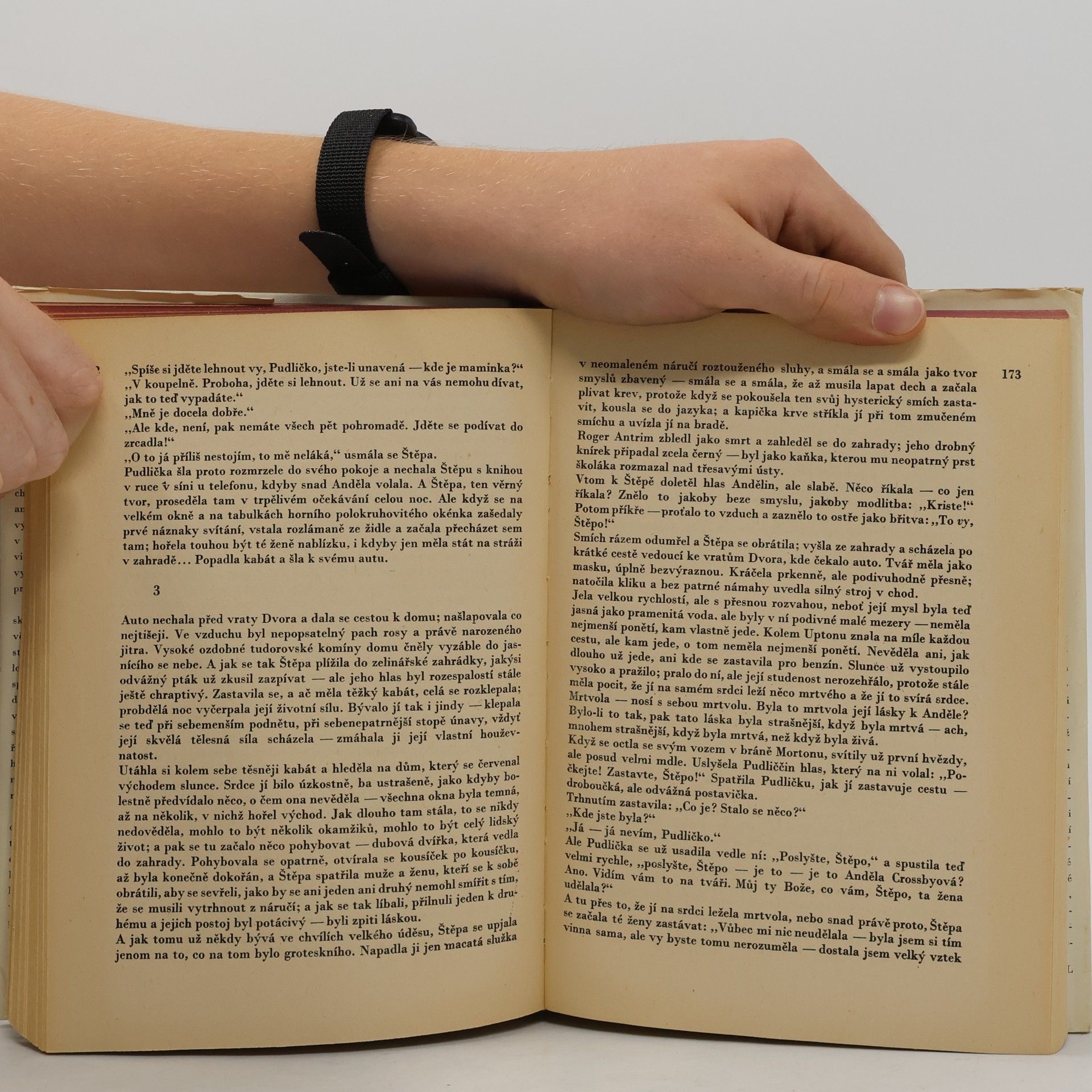 Radclyffe Hall Studna osamění