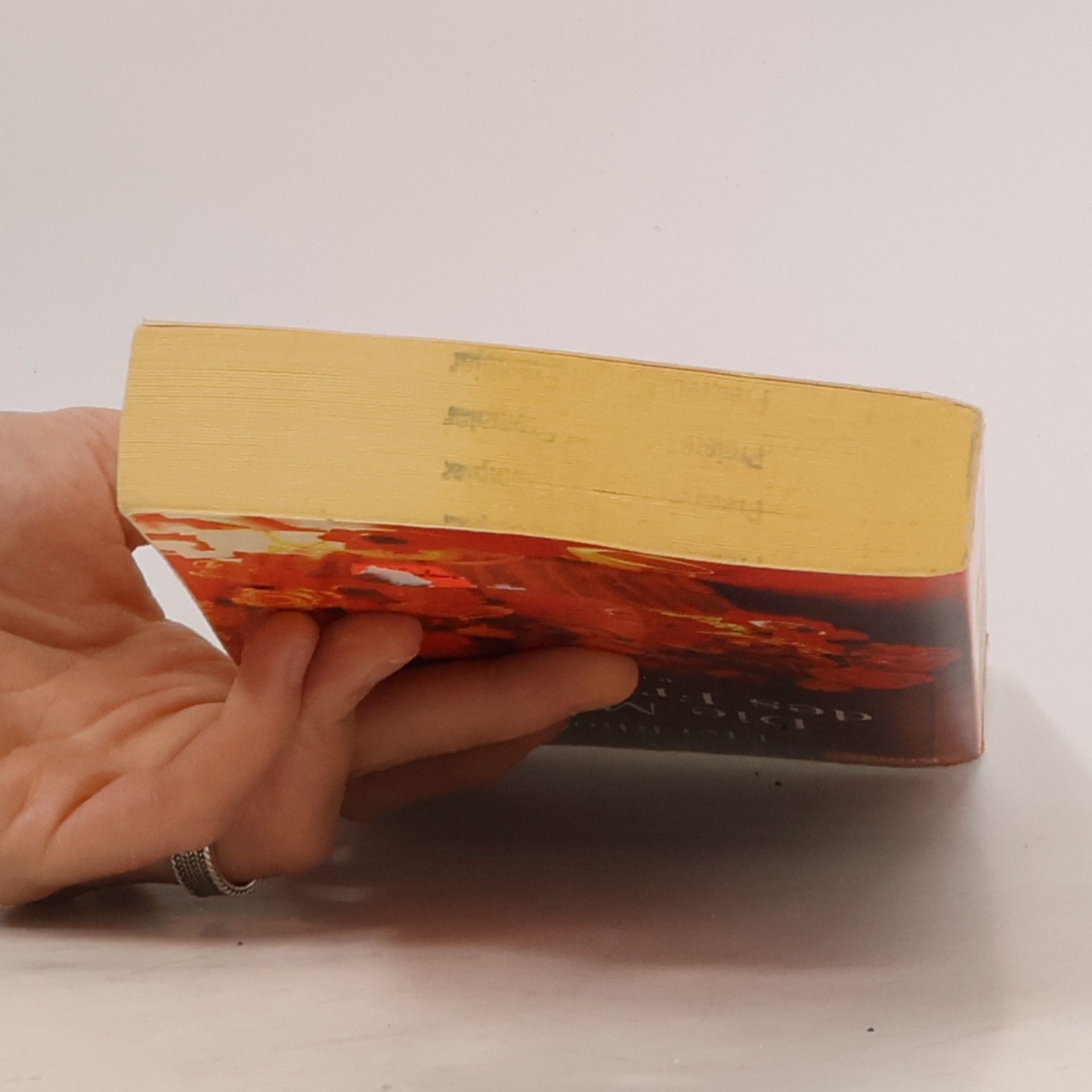 Elvi Rhodes Die Musik des Frühlings. Roman. Aus d. Engl. v. Christine Steffen-Reimann