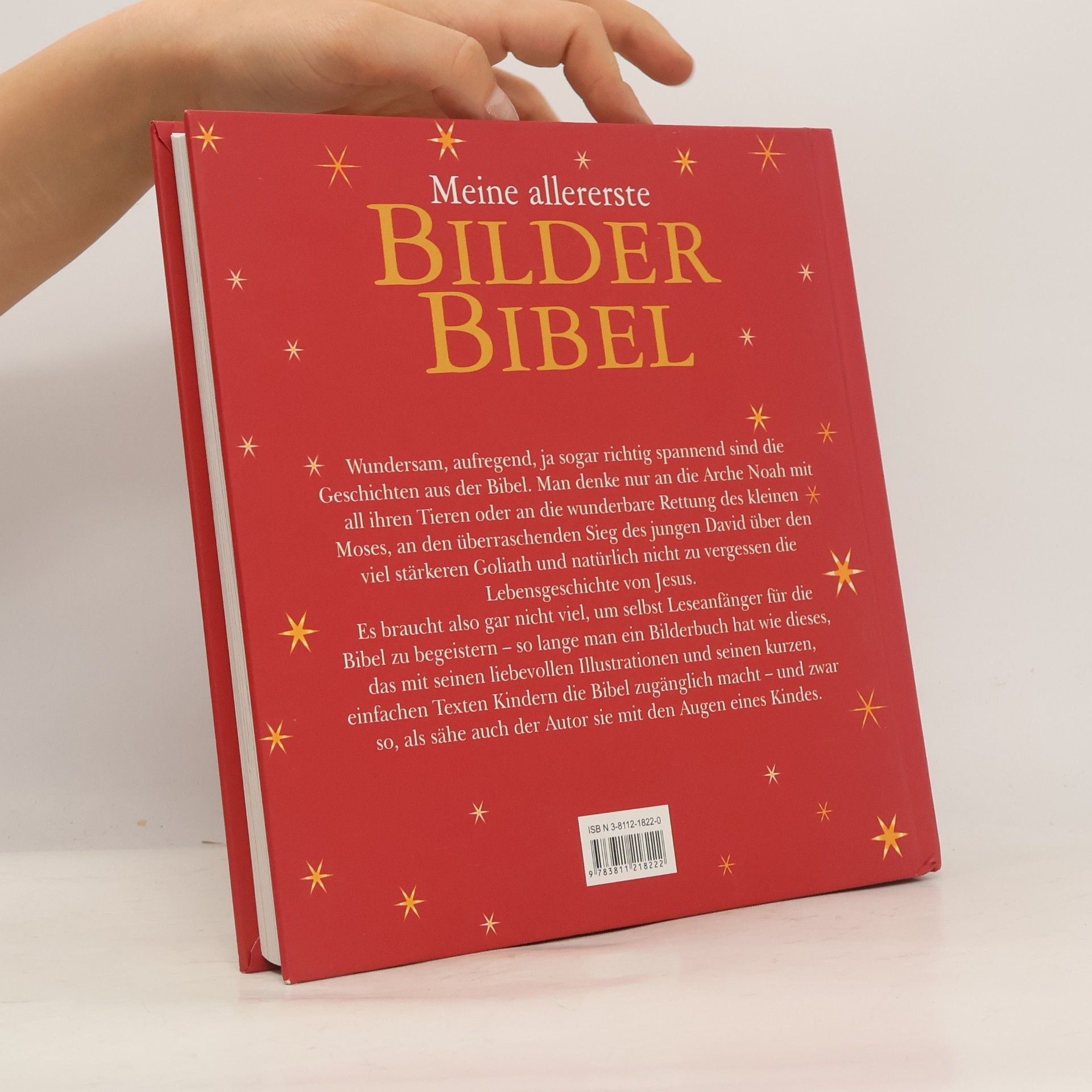 Heather Amery Meine allererste Bilderbibel