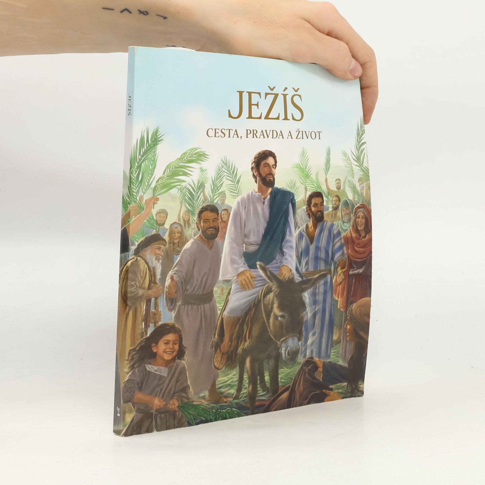Autorenkollektiv Ježíš, cesta, pravda a život