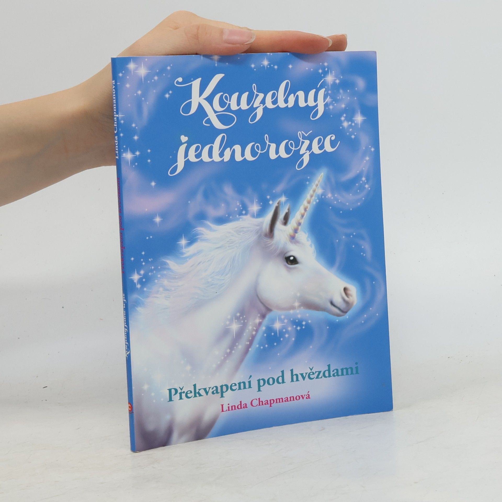 Linda Chapman Překvapení pod hvězdami