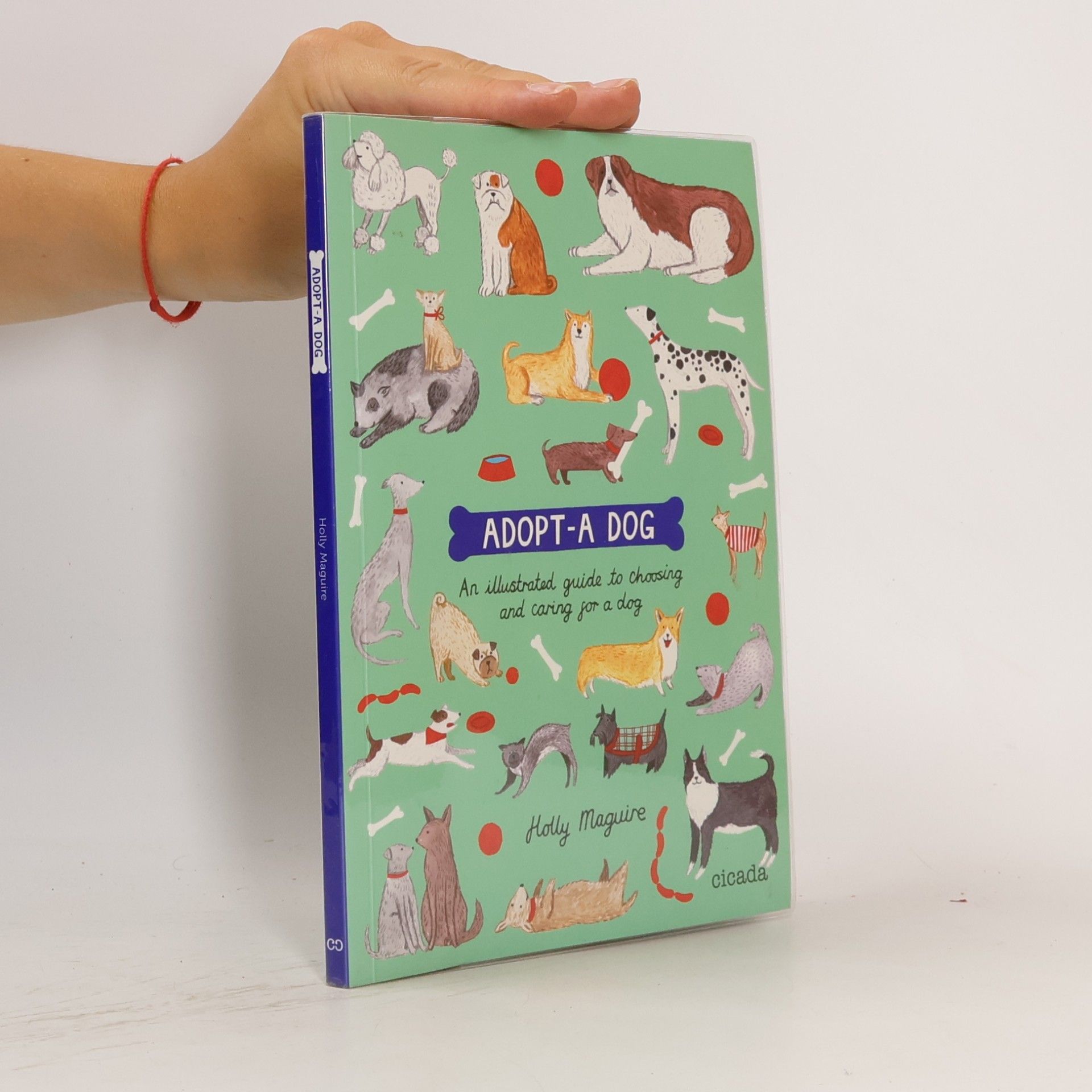 Holly Maguire Adopt-a-Dog
