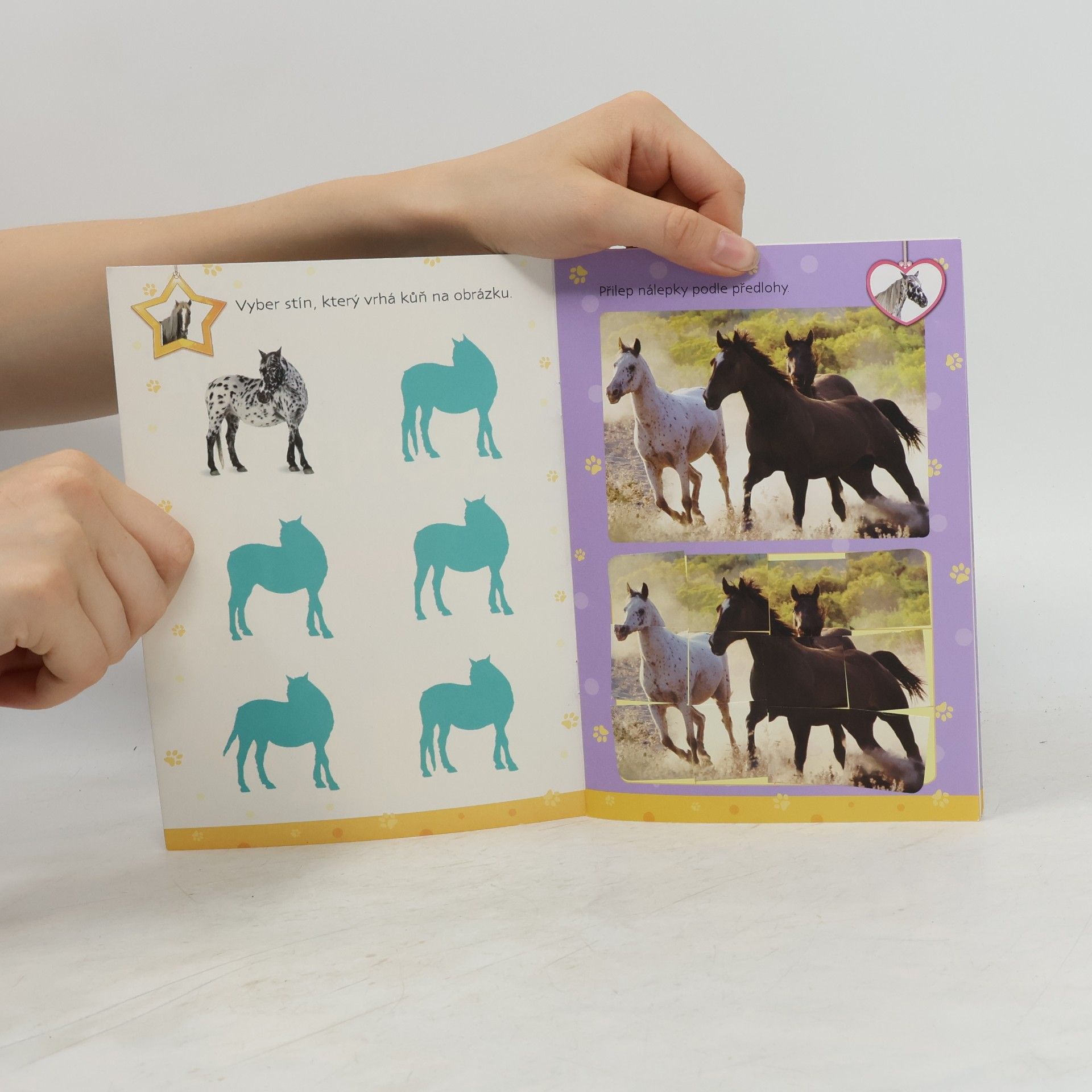 Minialbum koníci