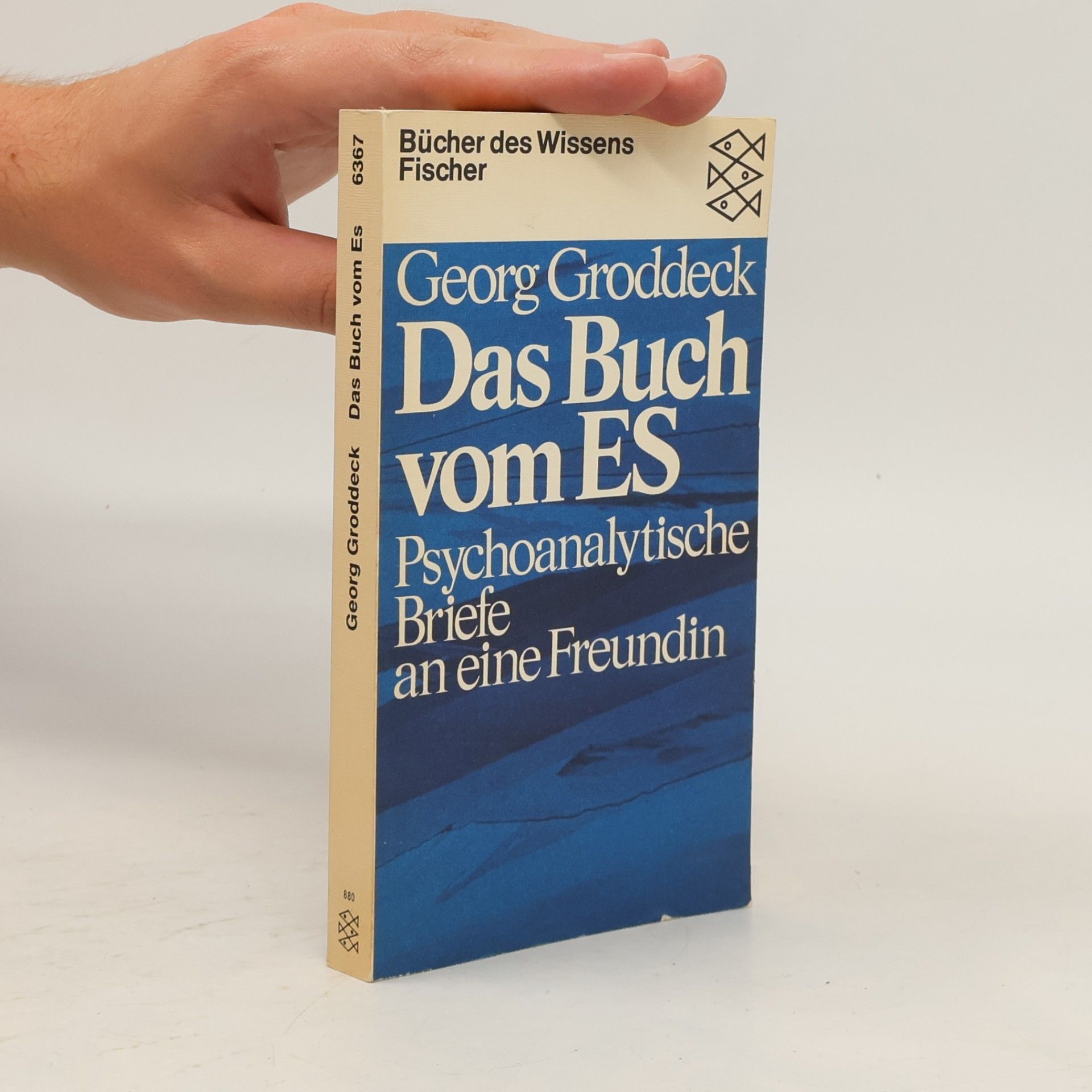 Georg Groddeck Das Buch vom Es