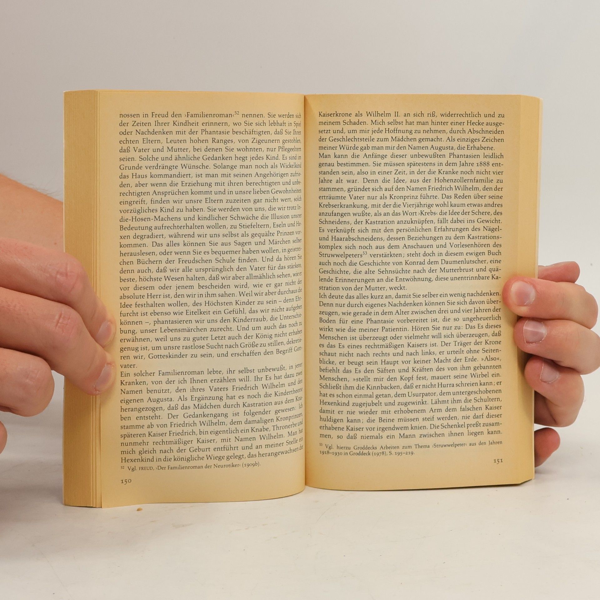 Georg Groddeck Das Buch vom Es