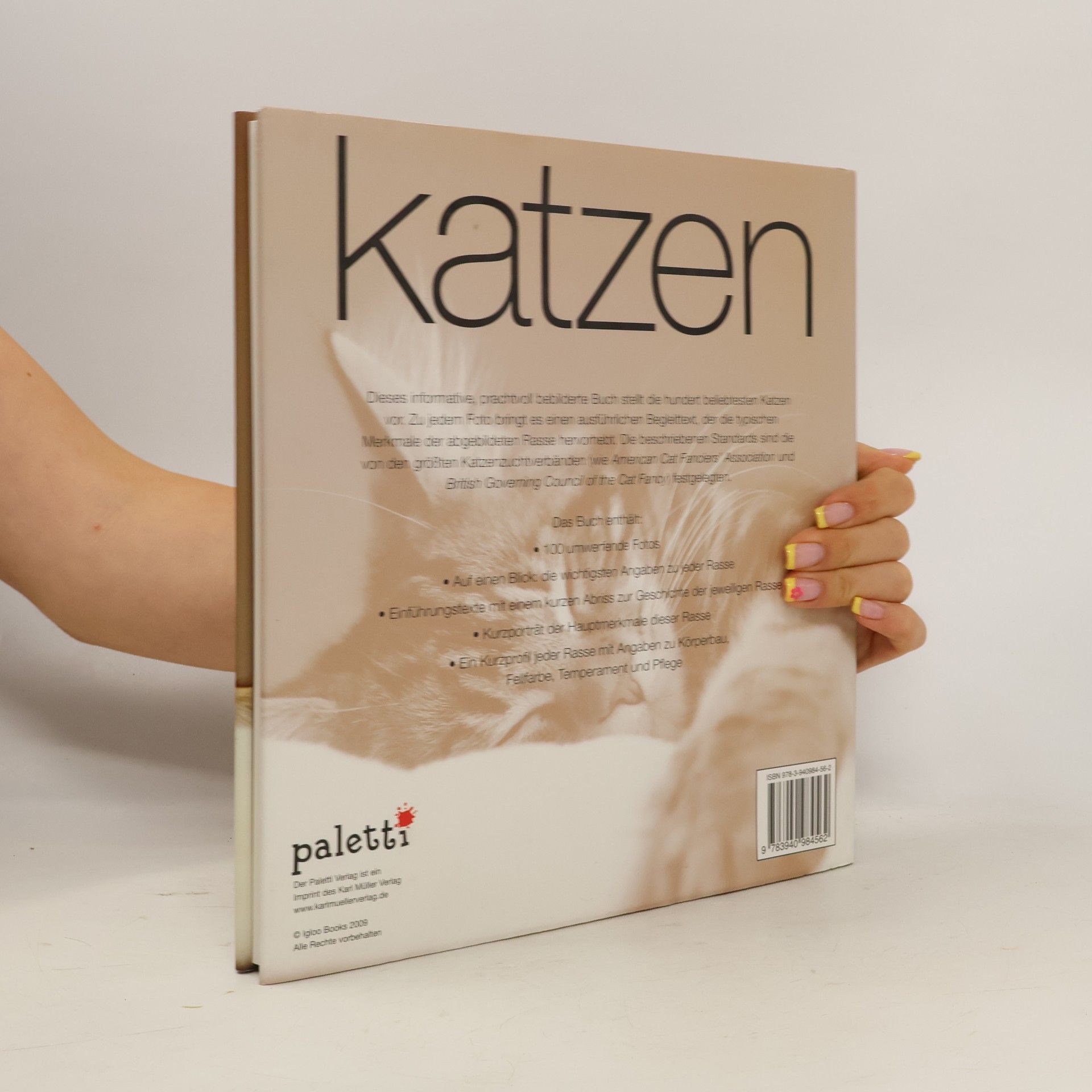 Autorenkollektiv Katzen