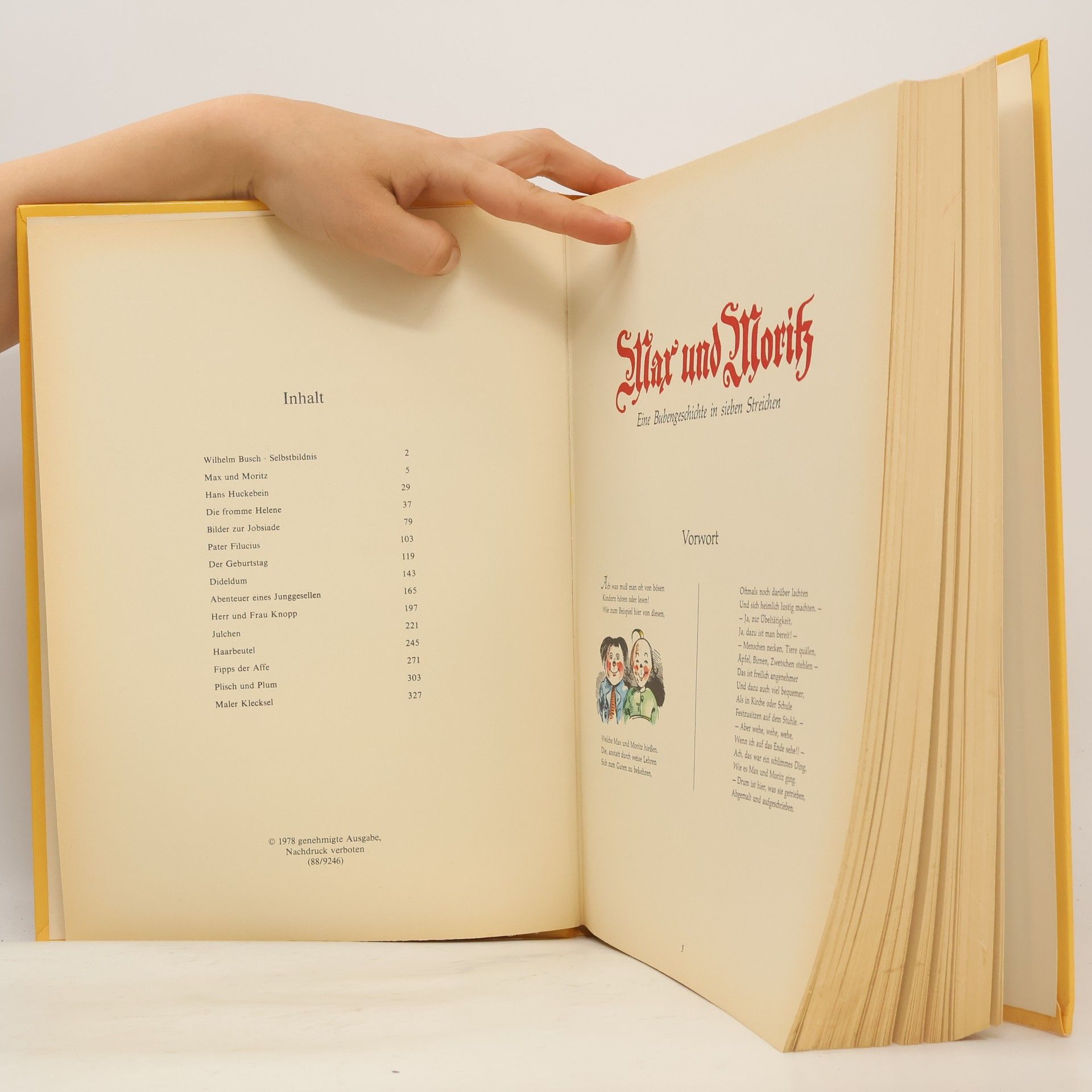 Wilhelm Busch Das große farbige Wilhelm Busch Album