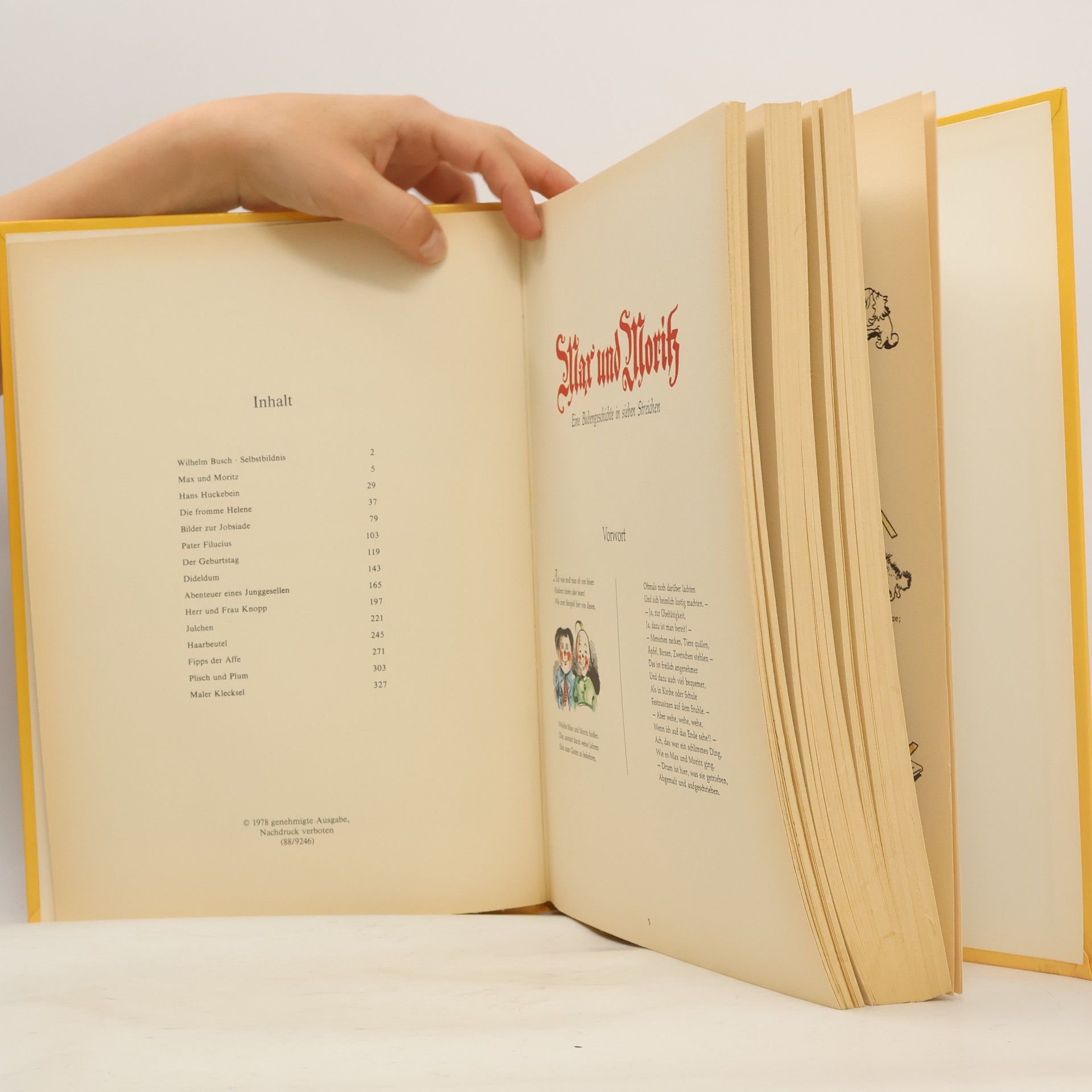 Wilhelm Busch Das große farbige Wilhelm Busch Album