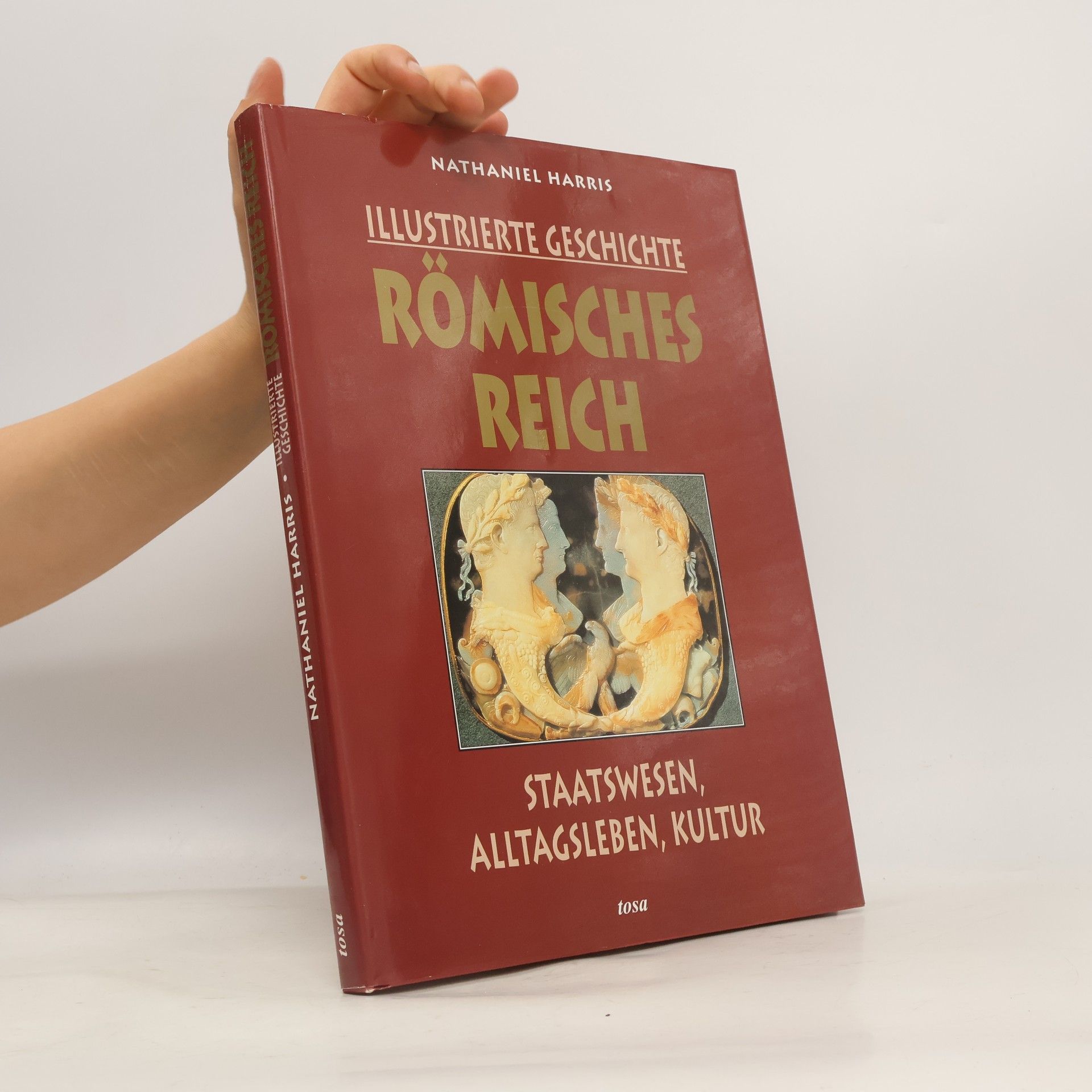Nathaniel Harris Illustrierte Geschichte Römisches Reich. Staatswesen, Alltagsleben, Kultur