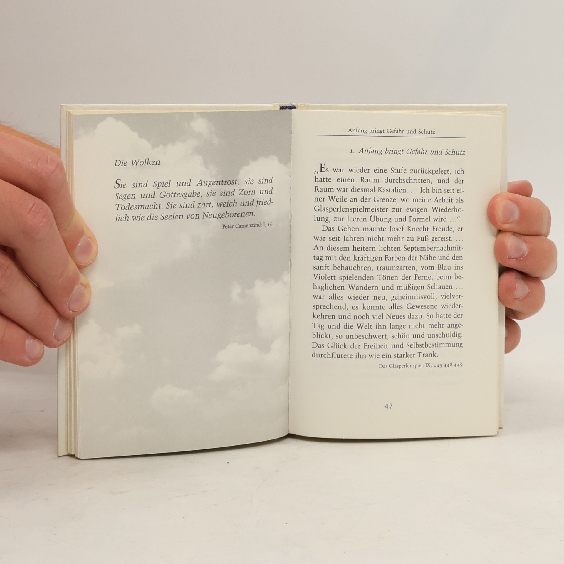 Hermann Hesse Worte des Zauberers
