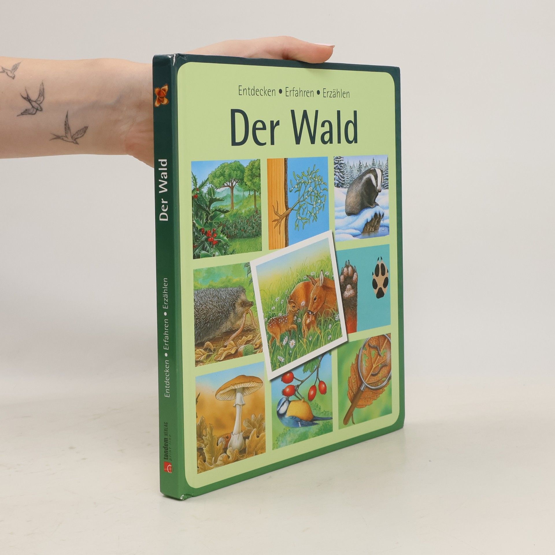 Autorenkollektiv Der Wald
