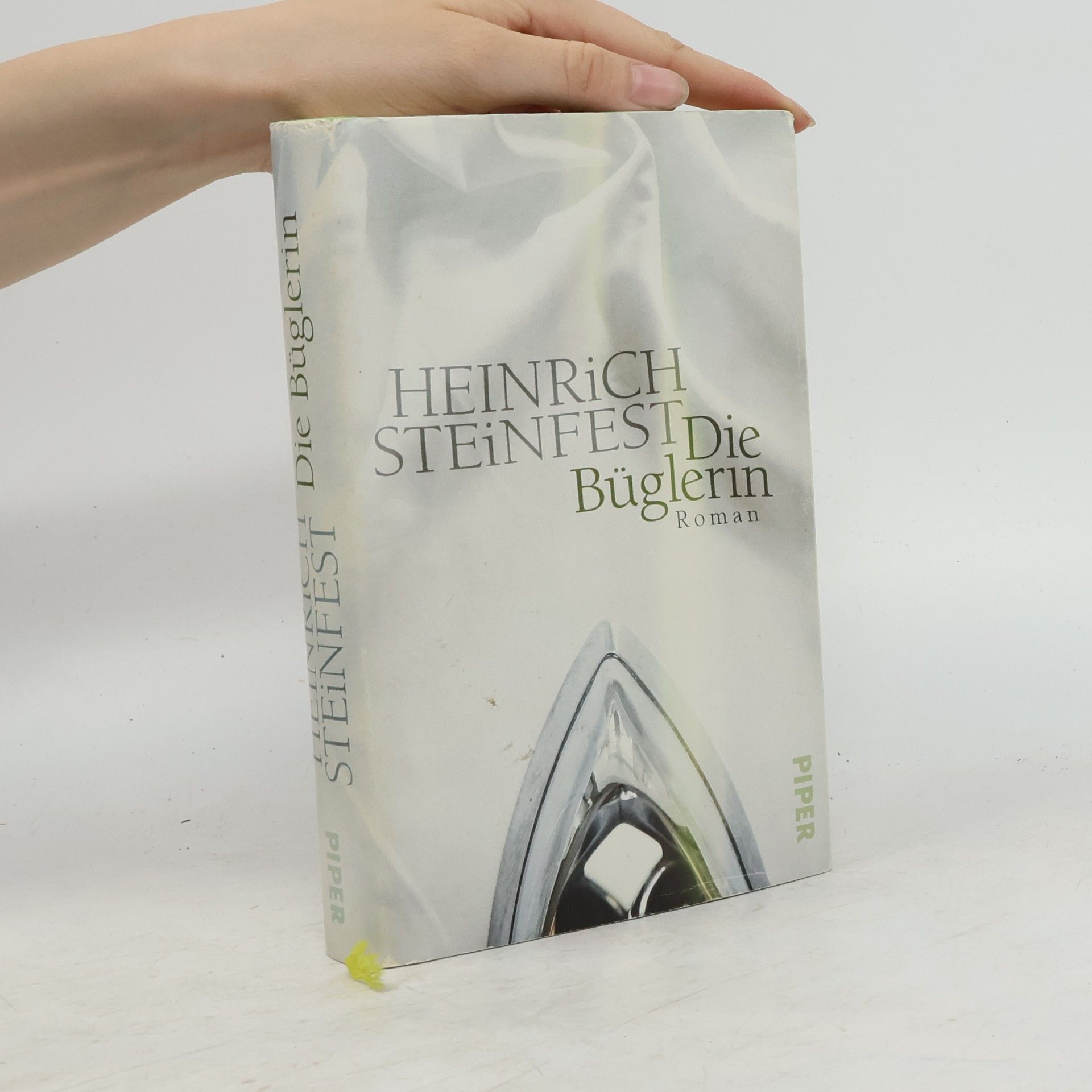 Heinrich Steinfest Die Büglerin
