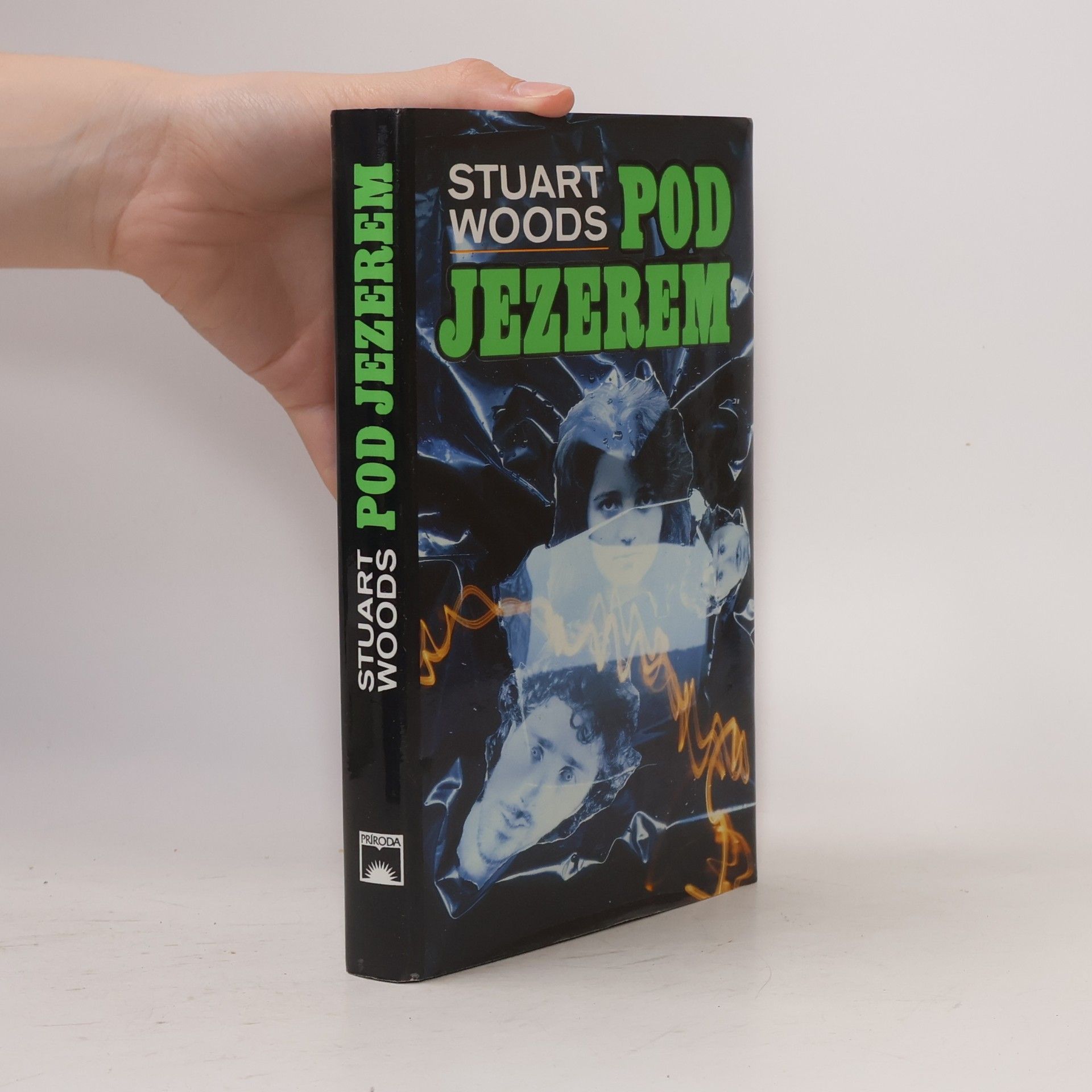 Stuart Woods Pod jezerem