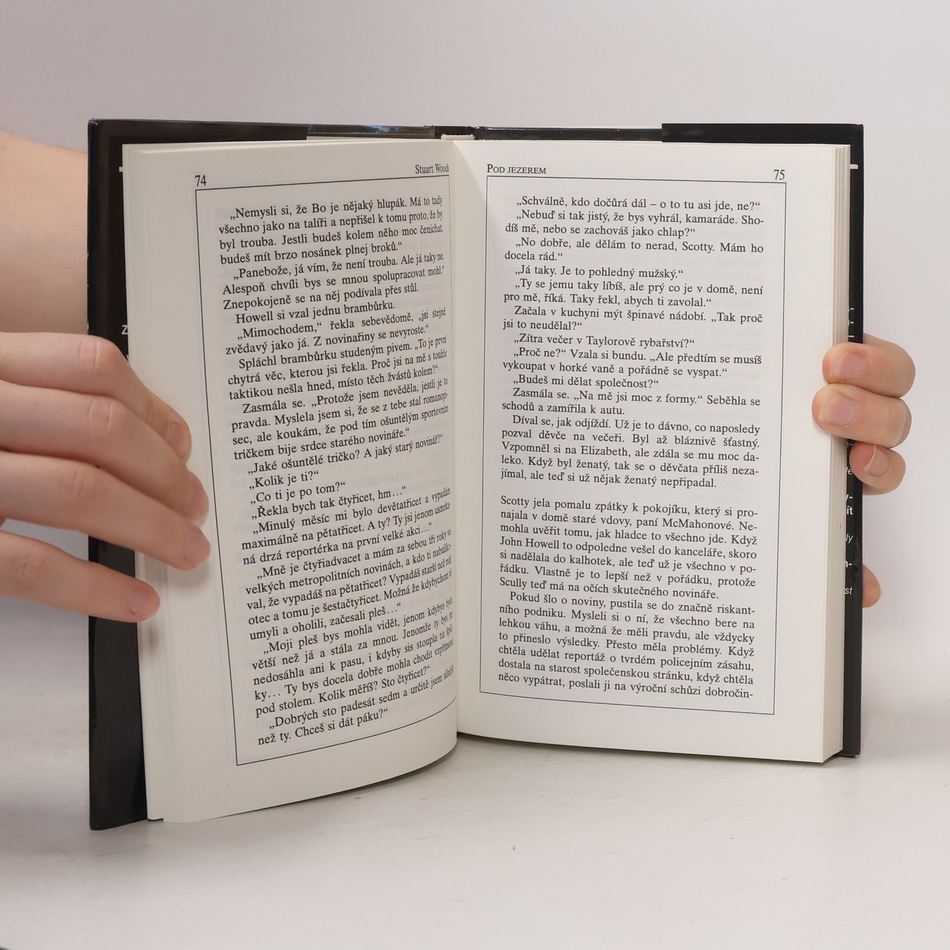Stuart Woods Pod jezerem
