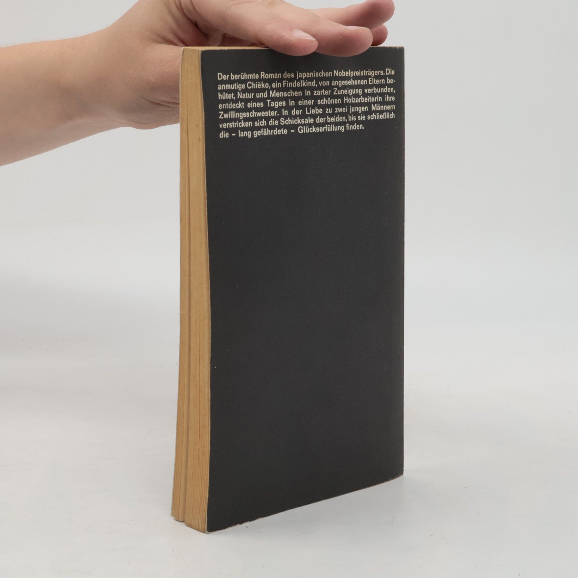 Jasunari Kawabata Kyōto oder Die jungen Liebenden in der alten Kaiserstadt