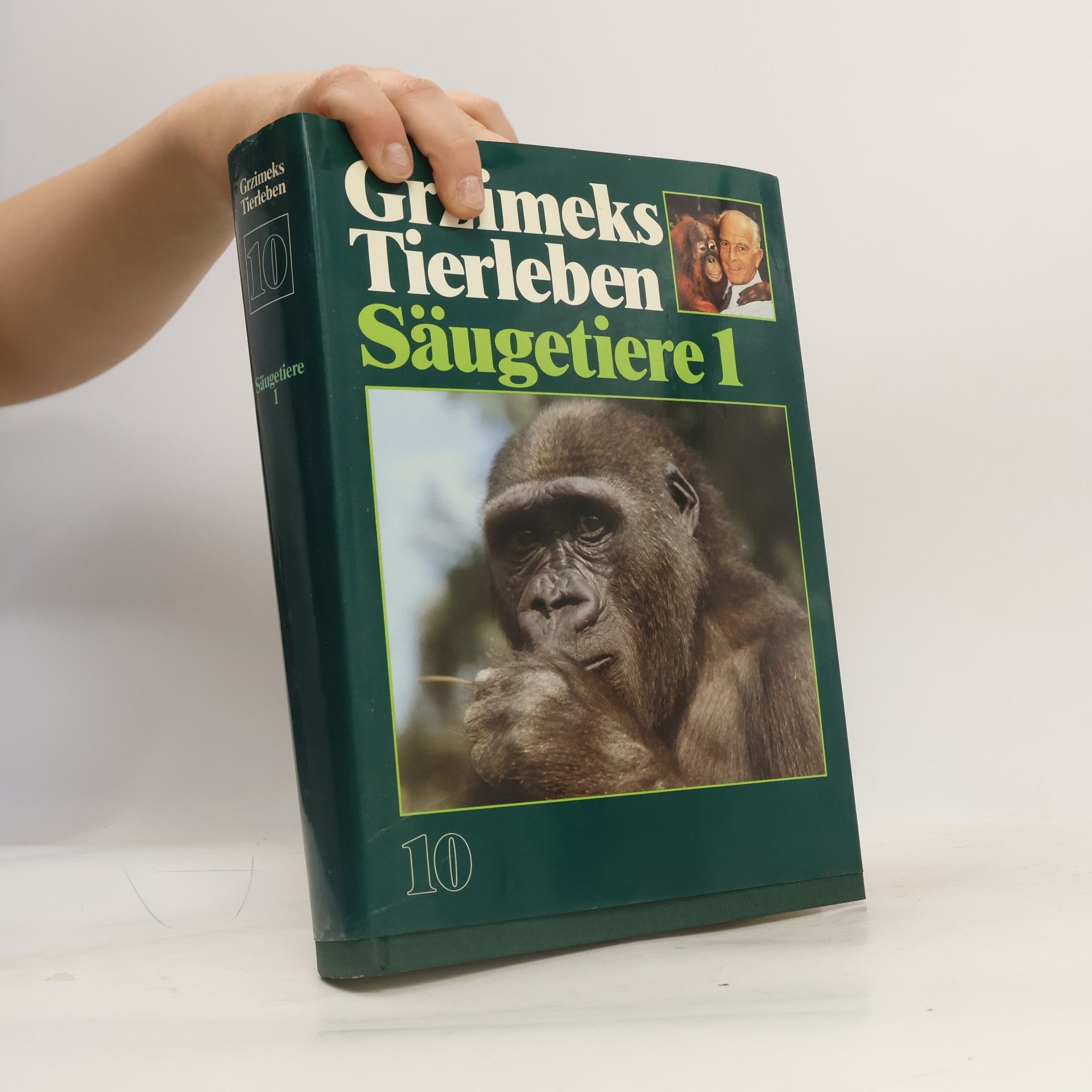 Autorenkollektiv Grzimeks Tierleben. Säugetiere 1