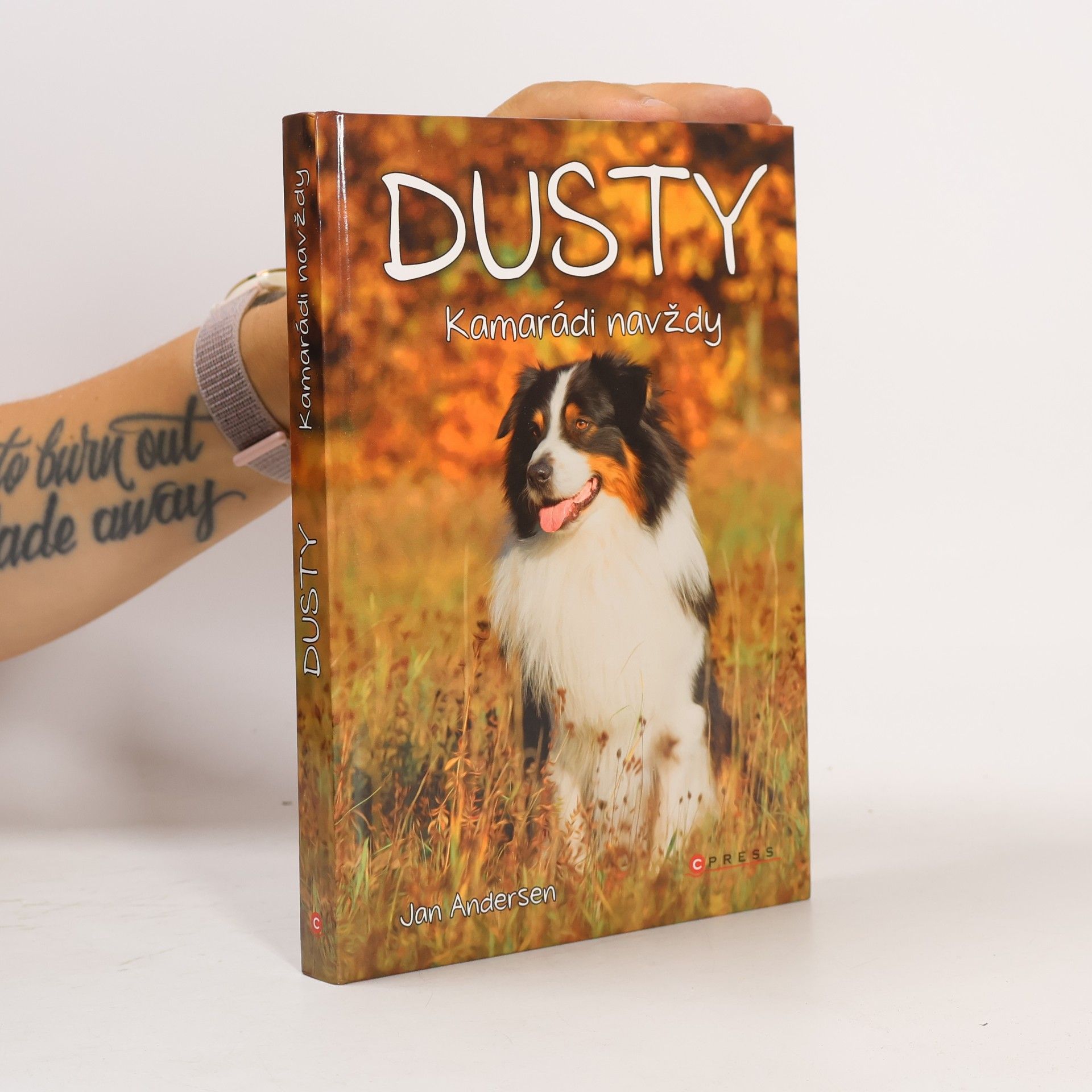 Wolfram Hänel Dusty. Kamarádi navždy