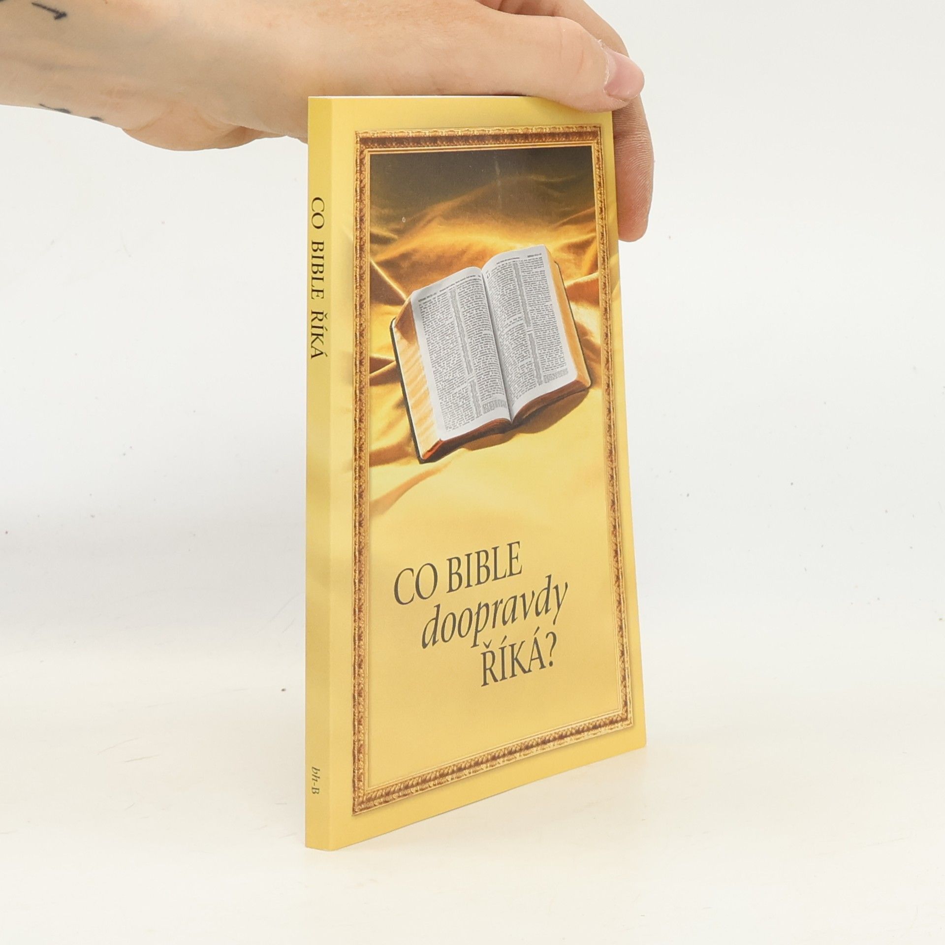 Kolektiv autorů Co Bible doopravdy říká?