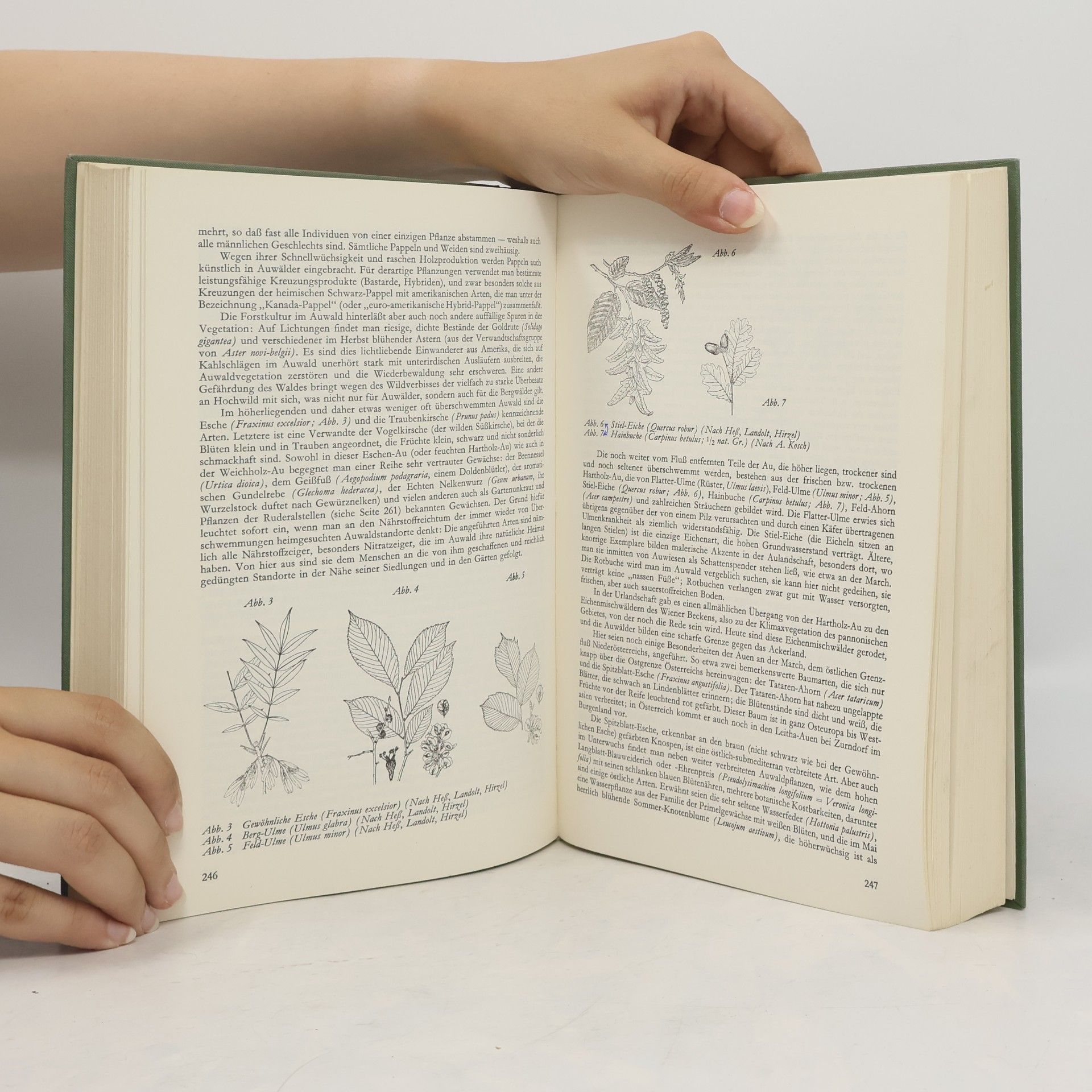 Various authors Naturgeschichte Österreichs