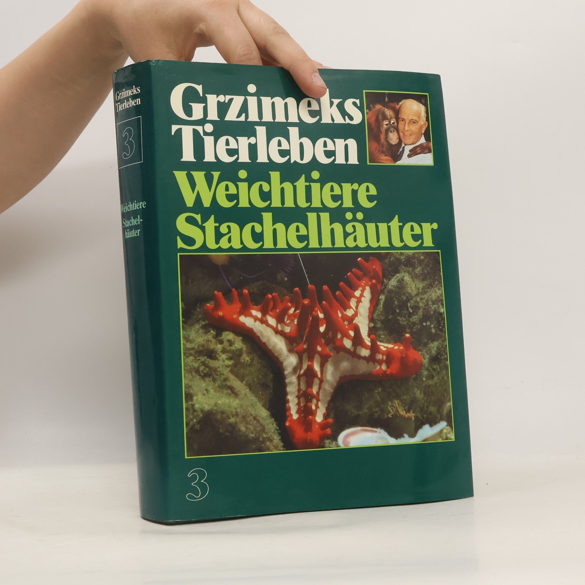 Autorenkollektiv Grzimeks Tierleben. Weichtiere Stachelhäuter