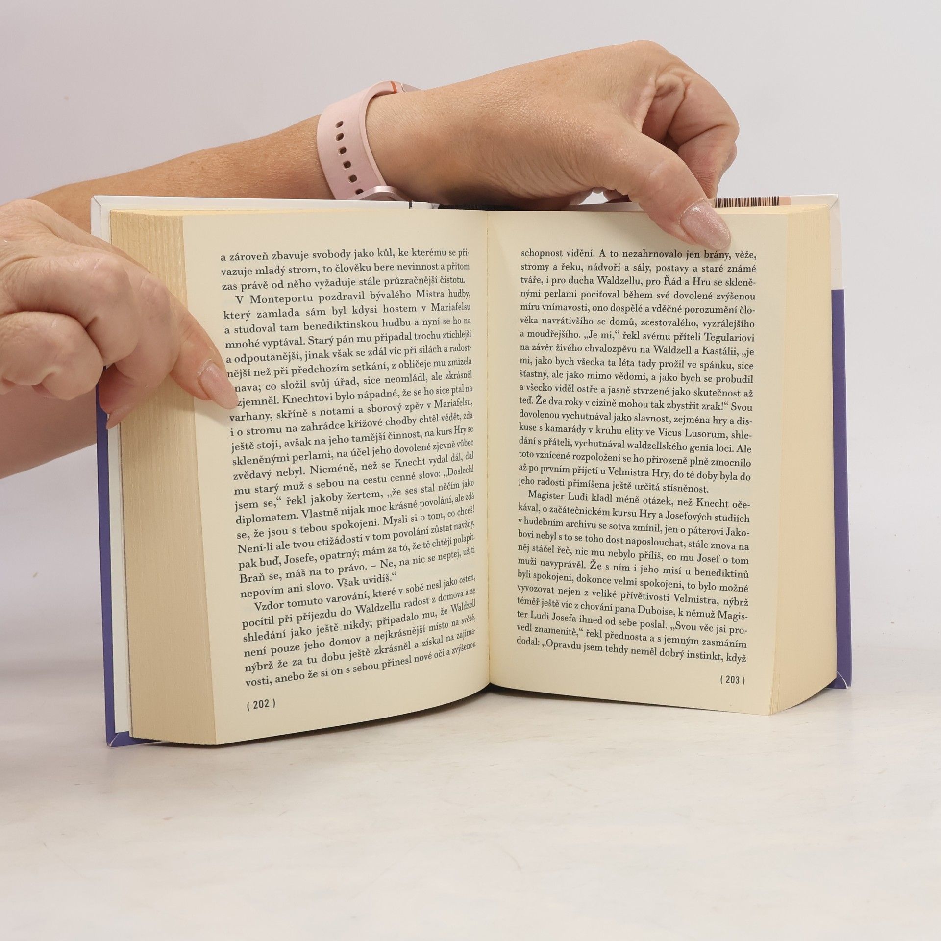 Hermann Hesse Hra se skleněnými perlami