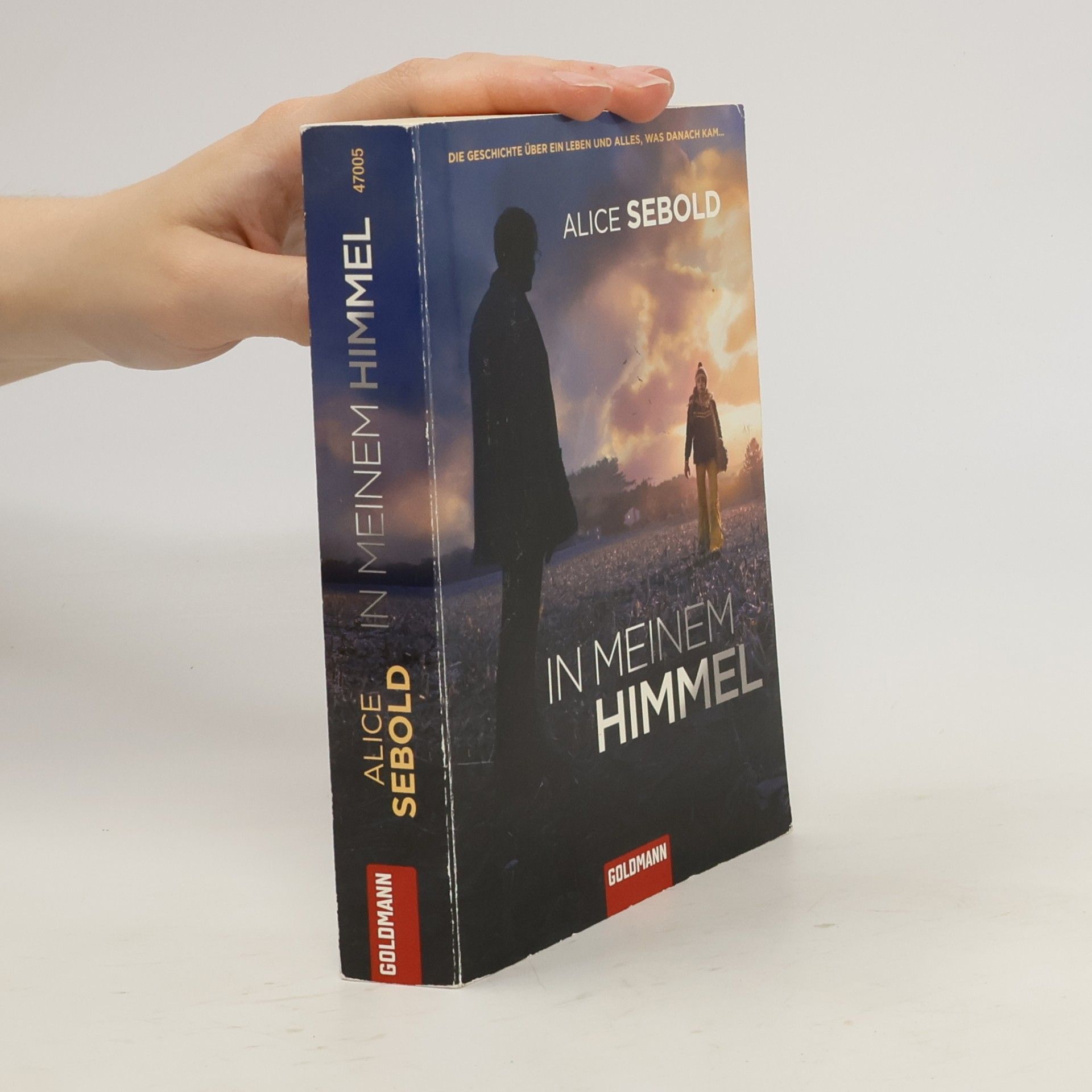 Alice Sebold In meinem Himmel