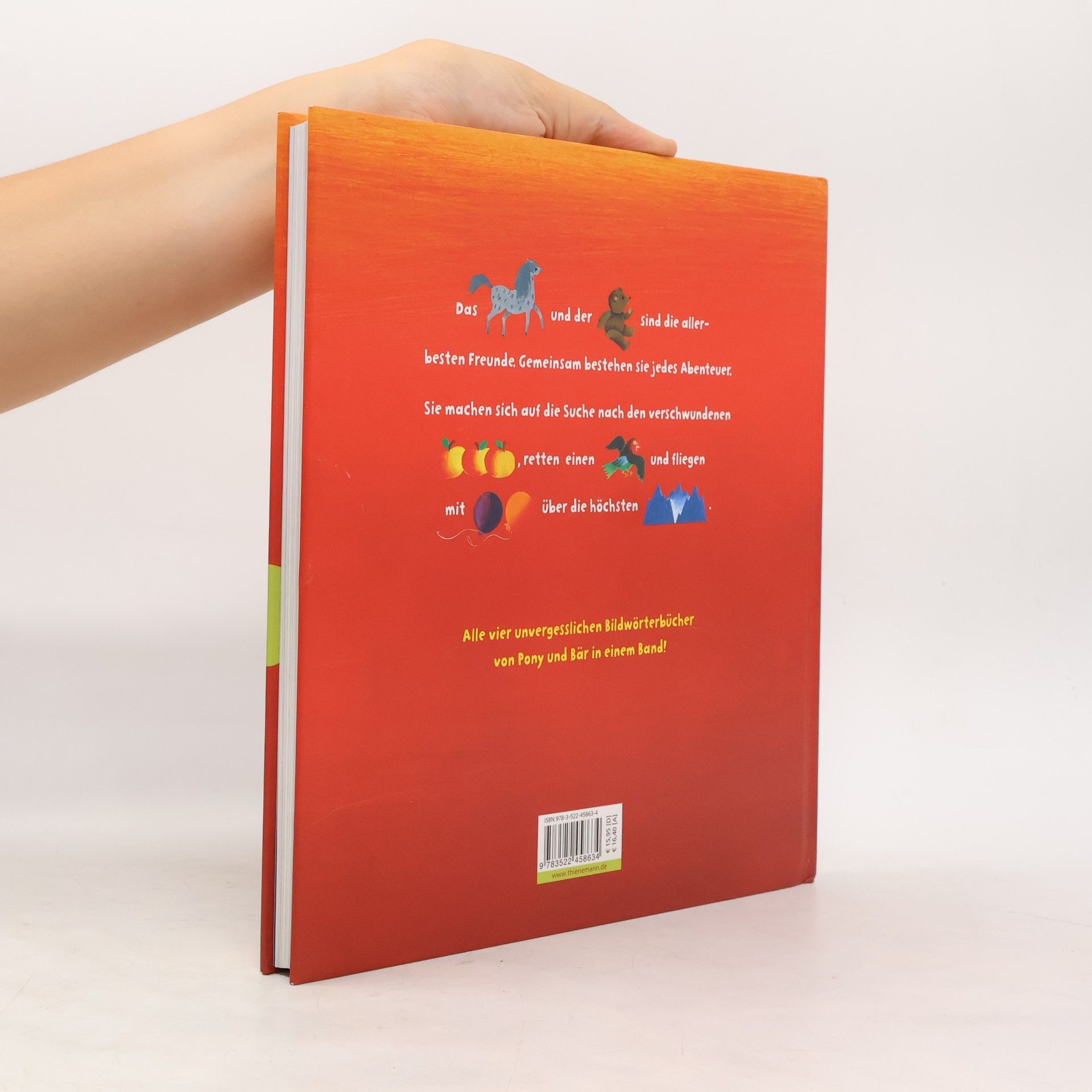 Sigrid Heuck Das große Buch von Pony, Bär und Apfelbaum