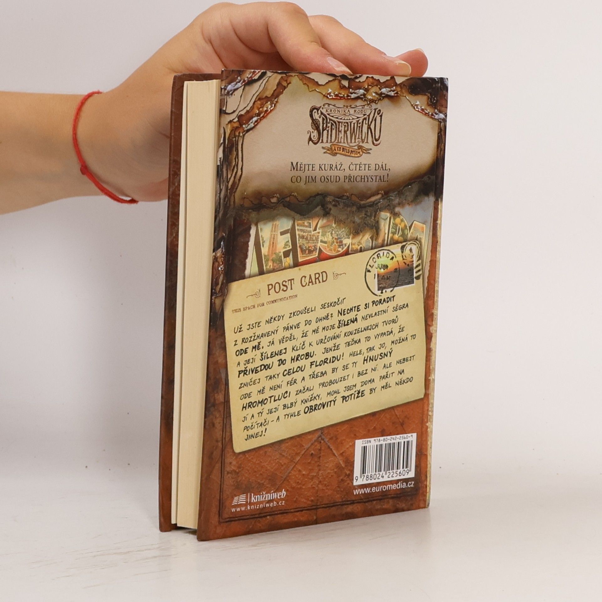 Tony DiTerlizzi Kronika rodu Spiderwicků - a co bylo potom. Kniha 2, Obrovité potíže