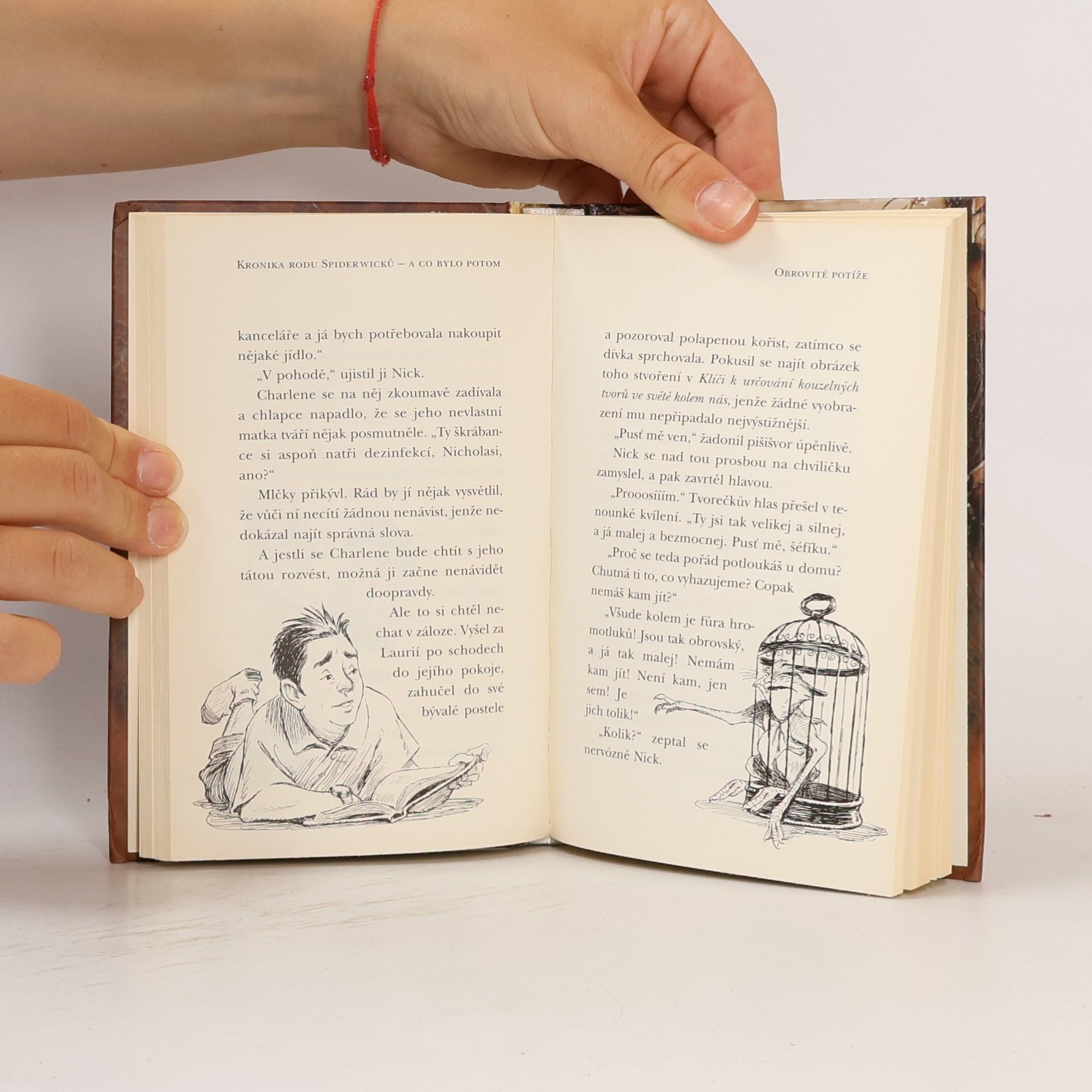 Tony DiTerlizzi Kronika rodu Spiderwicků - a co bylo potom. Kniha 2, Obrovité potíže