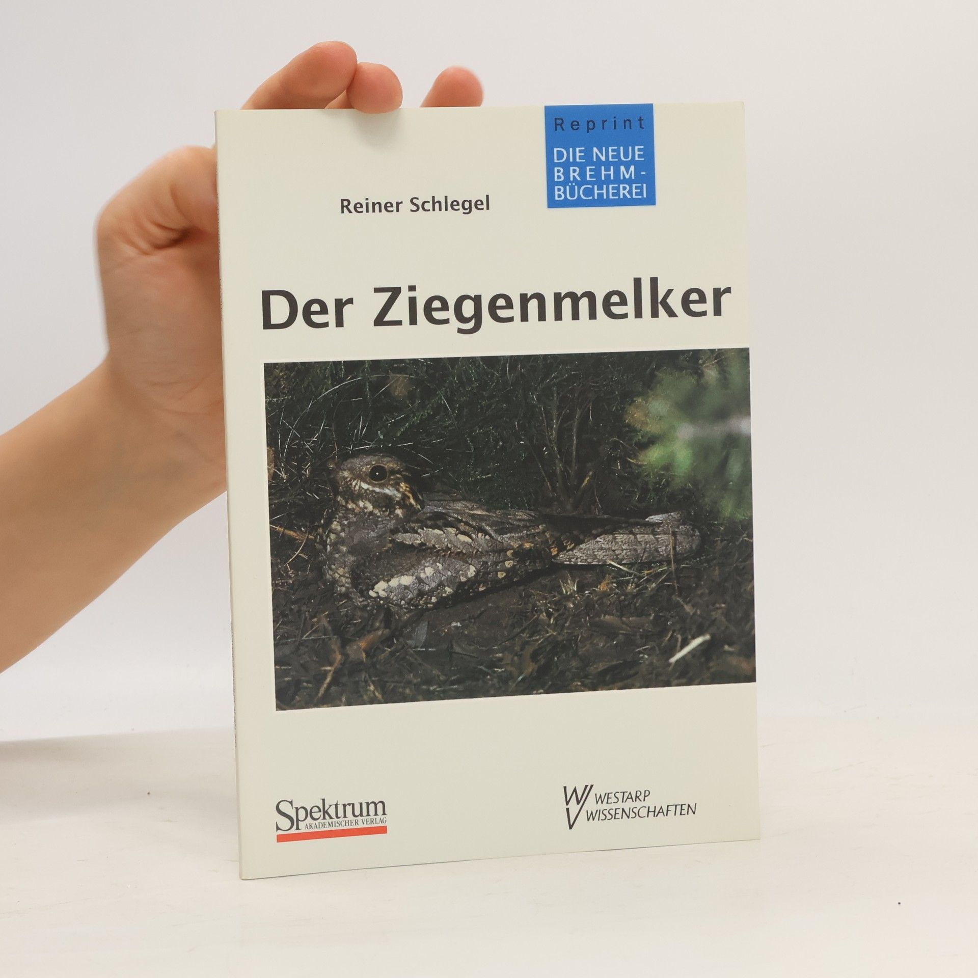 Reiner Schlegelmilich Die Neue Brehm-Bücherei: Der Ziegenmelker